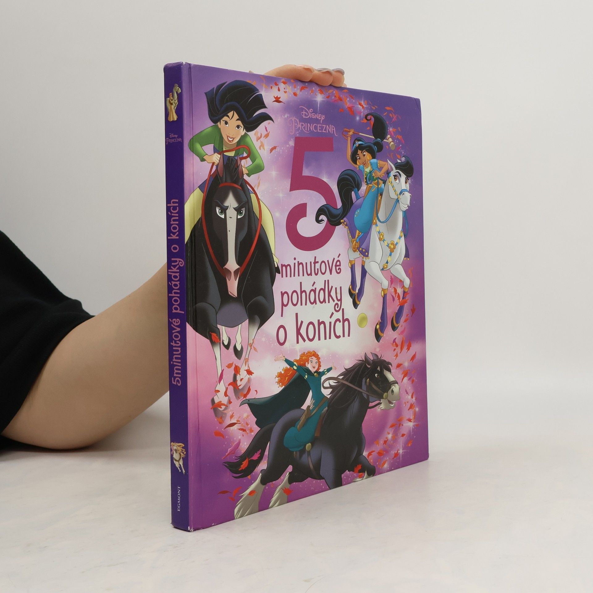Autorenkollektiv 5minutové pohádky o koních