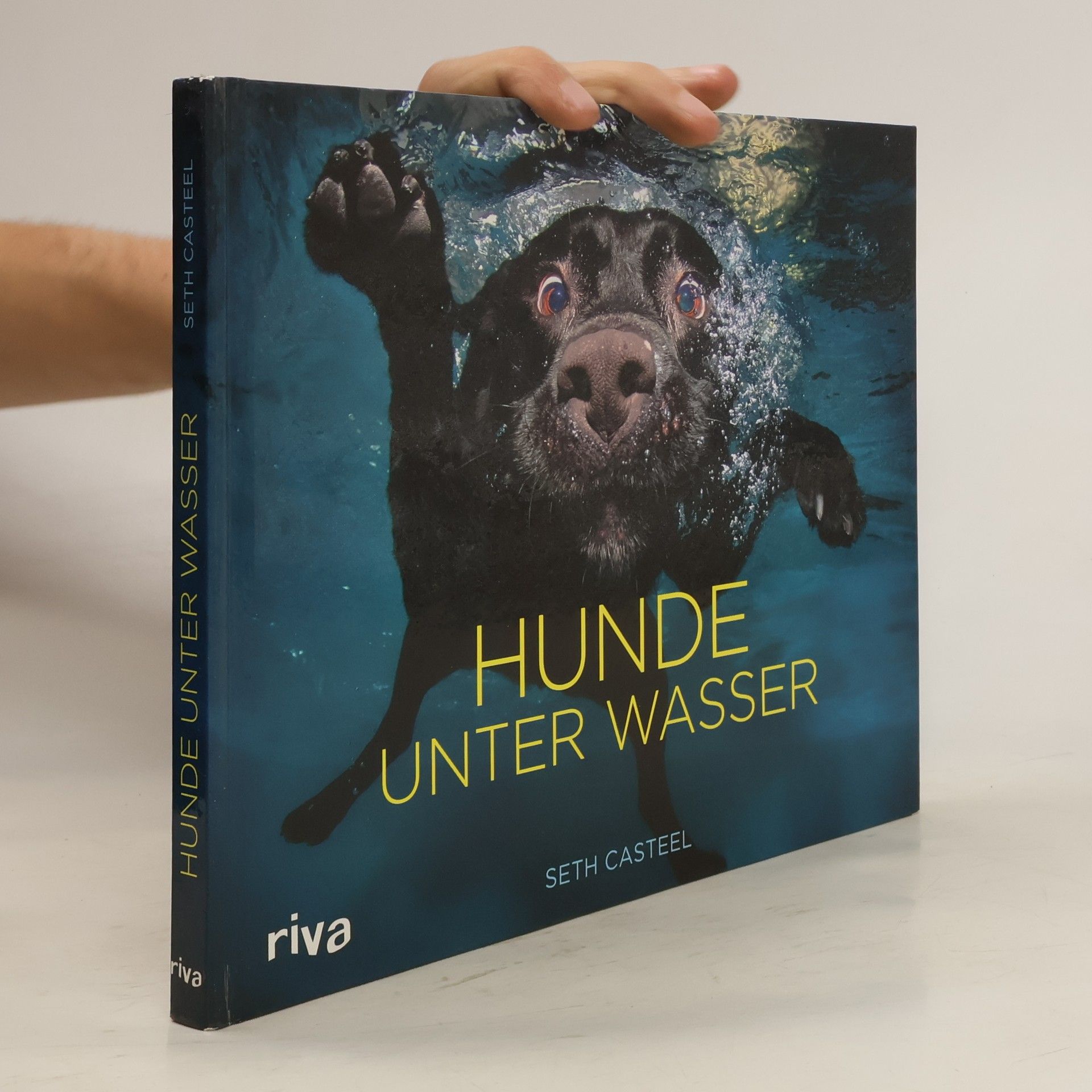 Seth Casteel Hunde unter Wasser