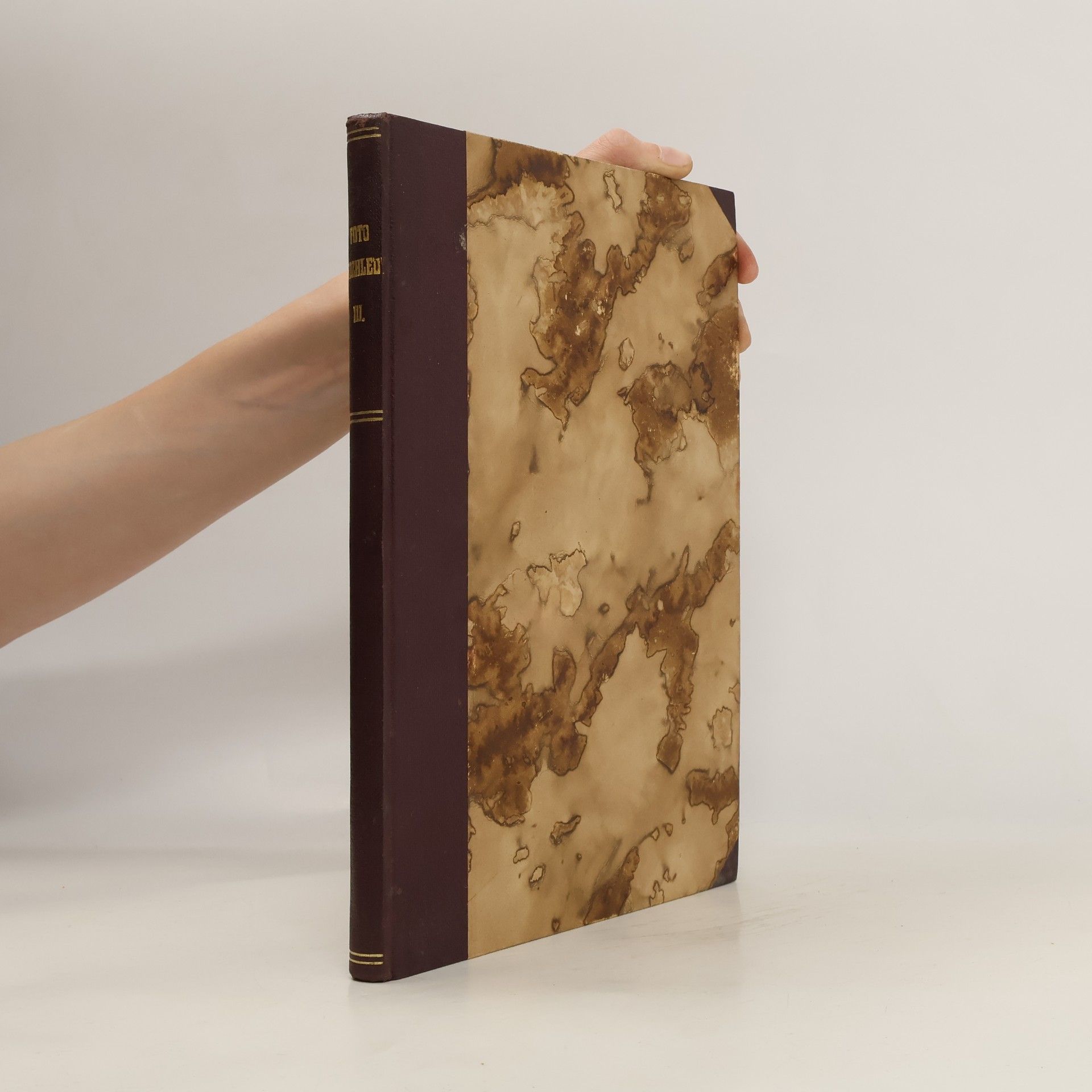 Kolektiv autorů Rozhledy fotografa amatéra