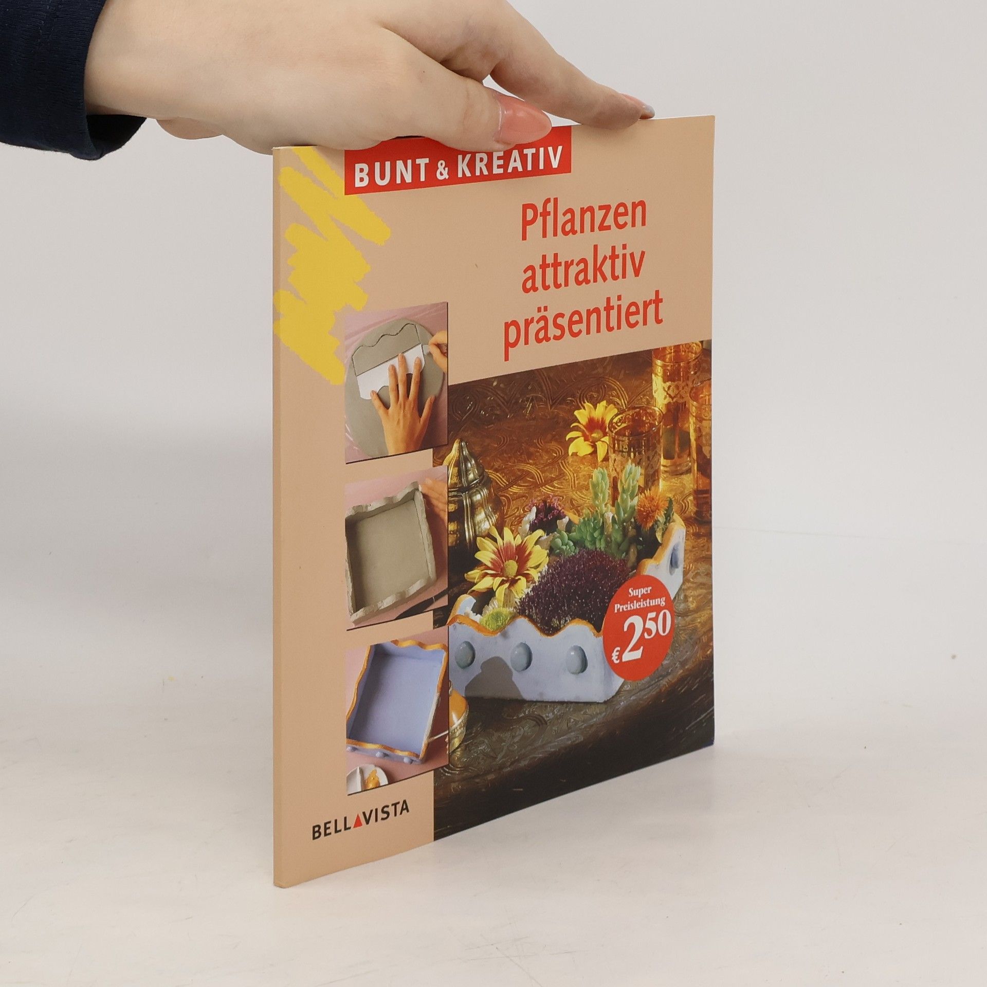 Collectif d'auteurs Pflanzen attraktiv präsentiert