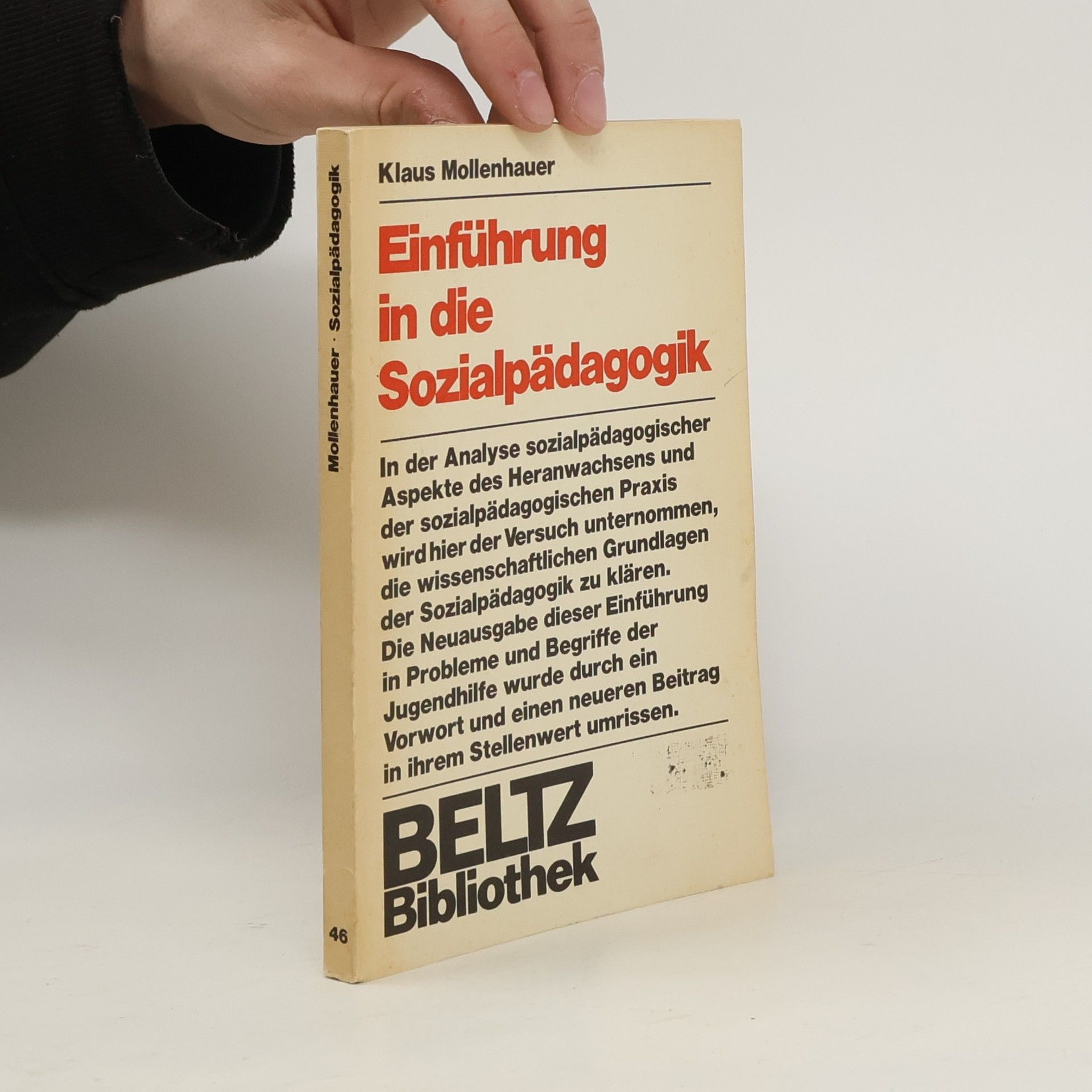 Einführung in die Sozialpädagogik