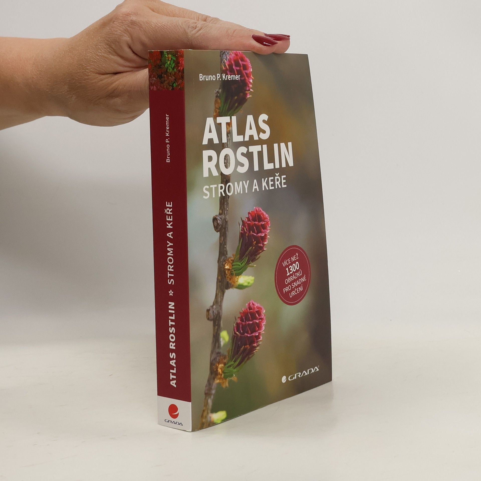 Bruno Kremer Atlas rostlin. Stromy a keře
