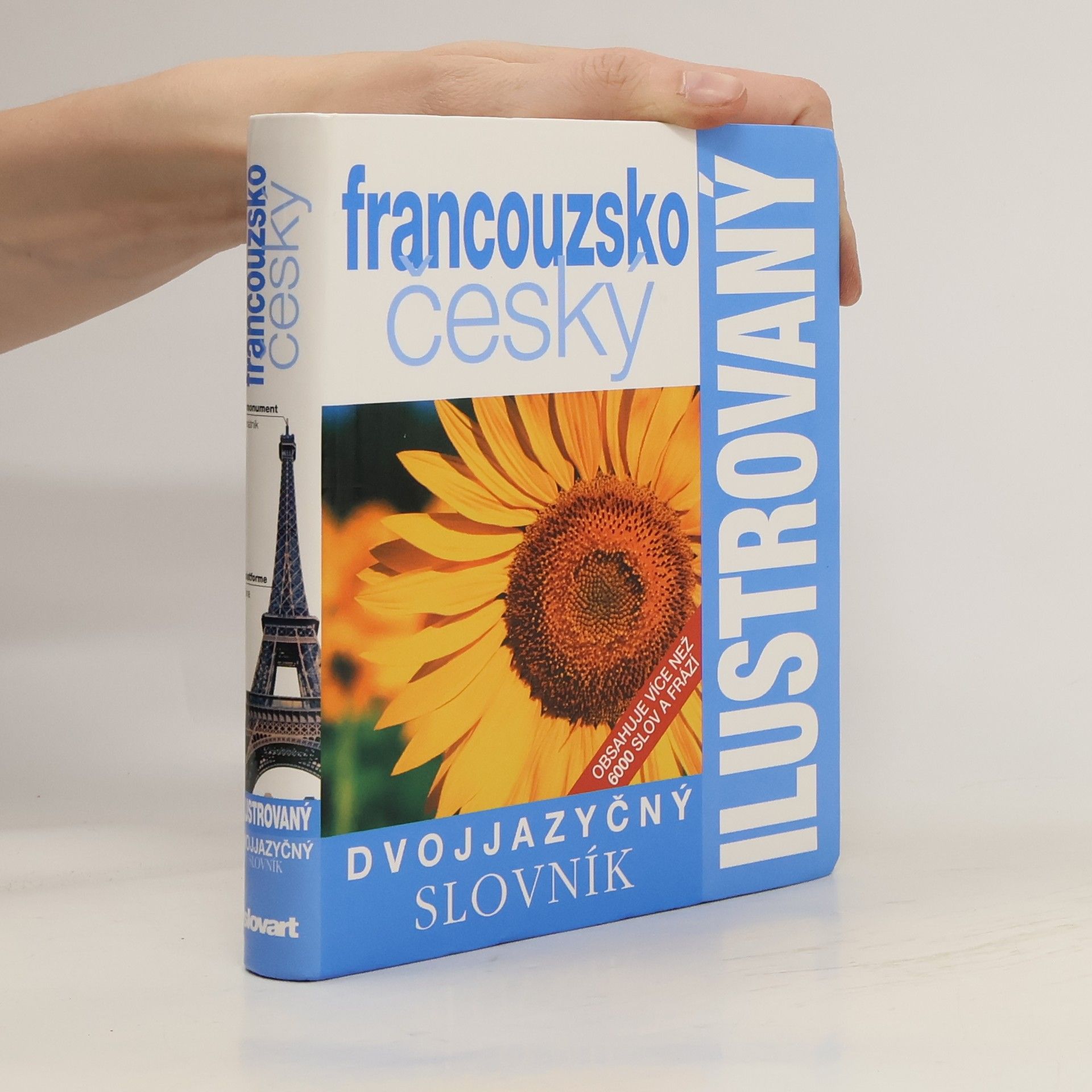 Collectif d'auteurs Francouzsko-český ilustrovaný slovník