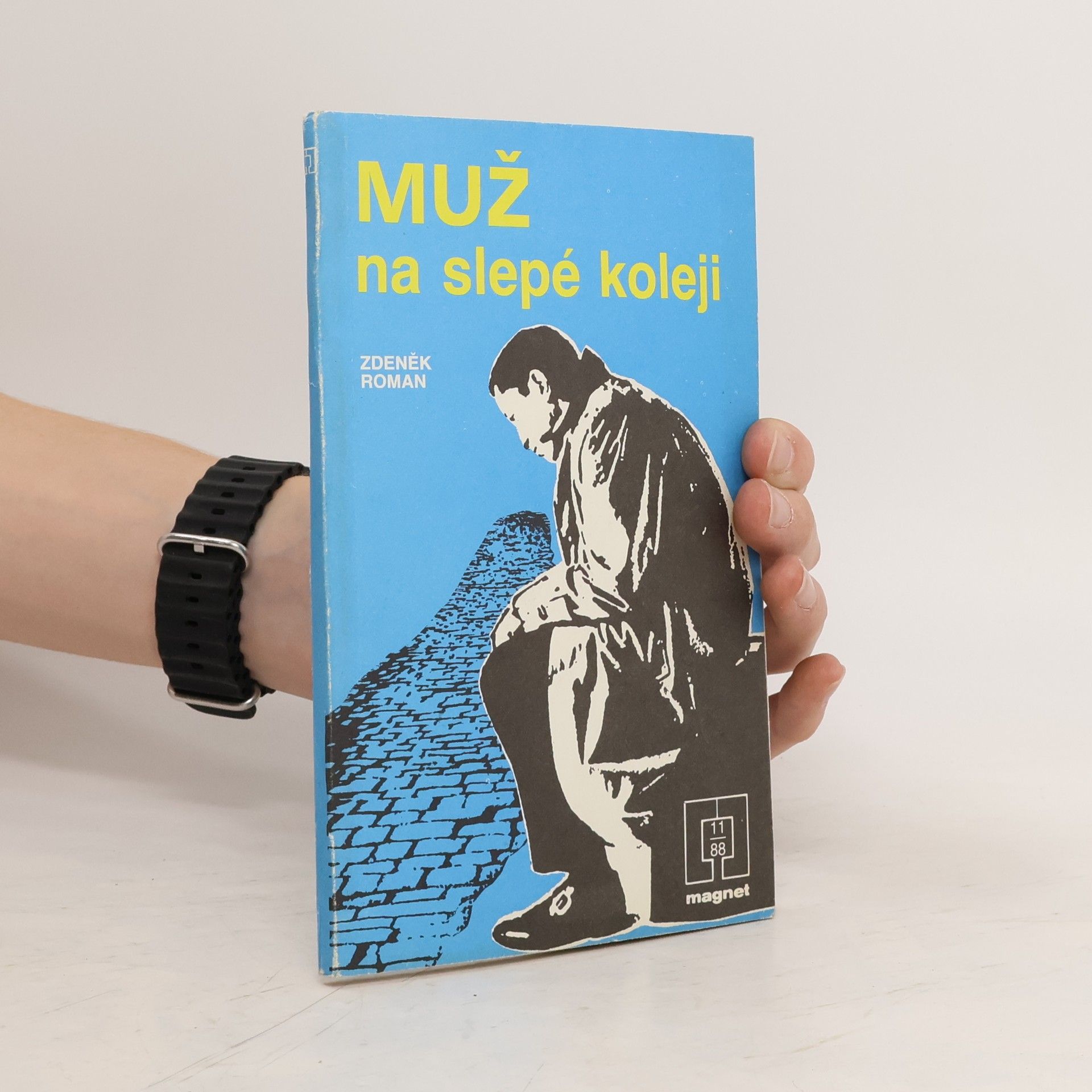 Zdeněk Roman Muž na slepé koleji