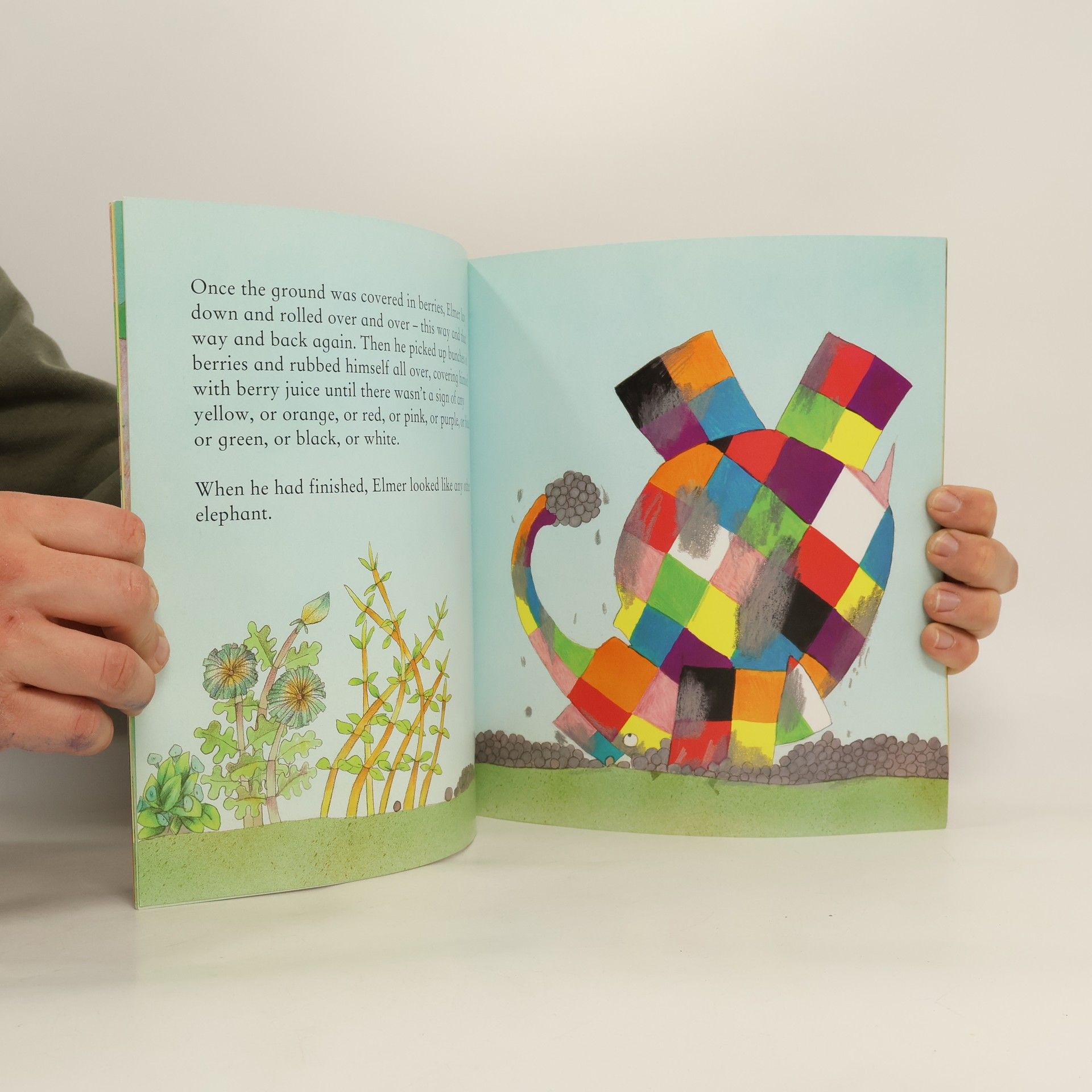 David McKee Elmer
