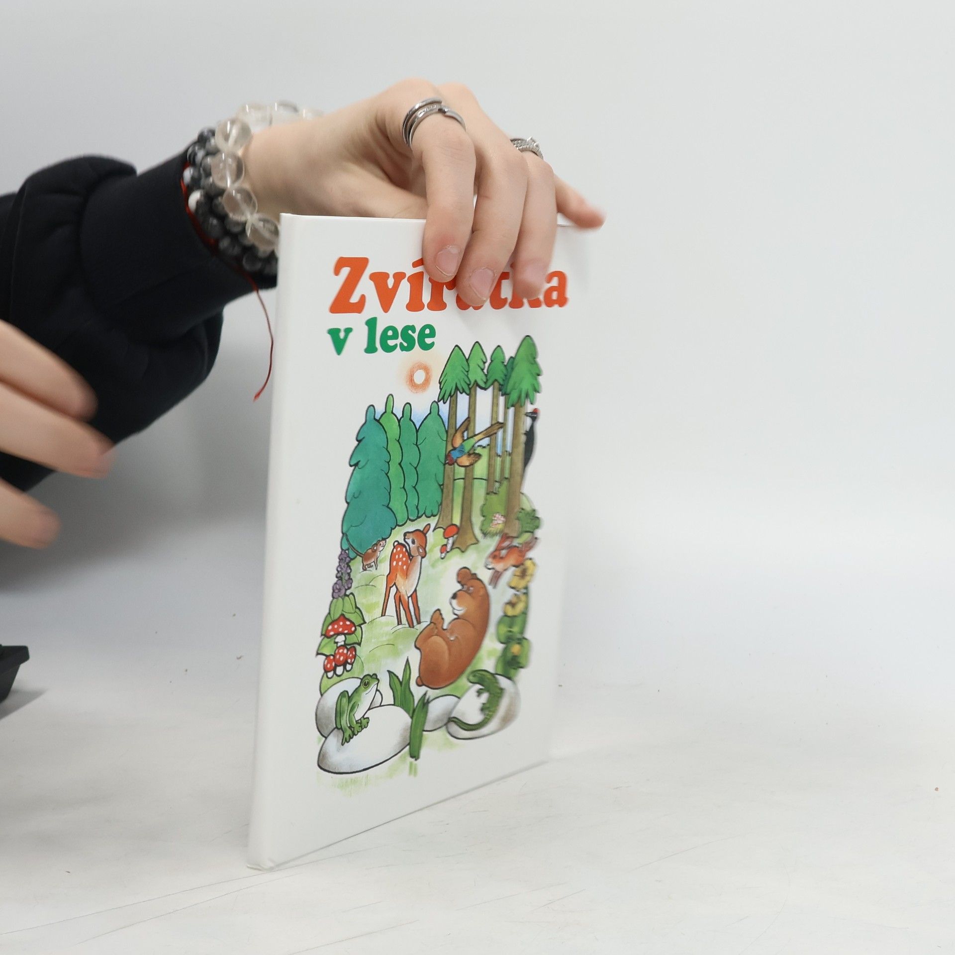 Ondřej Tůma Zvířátka v lese