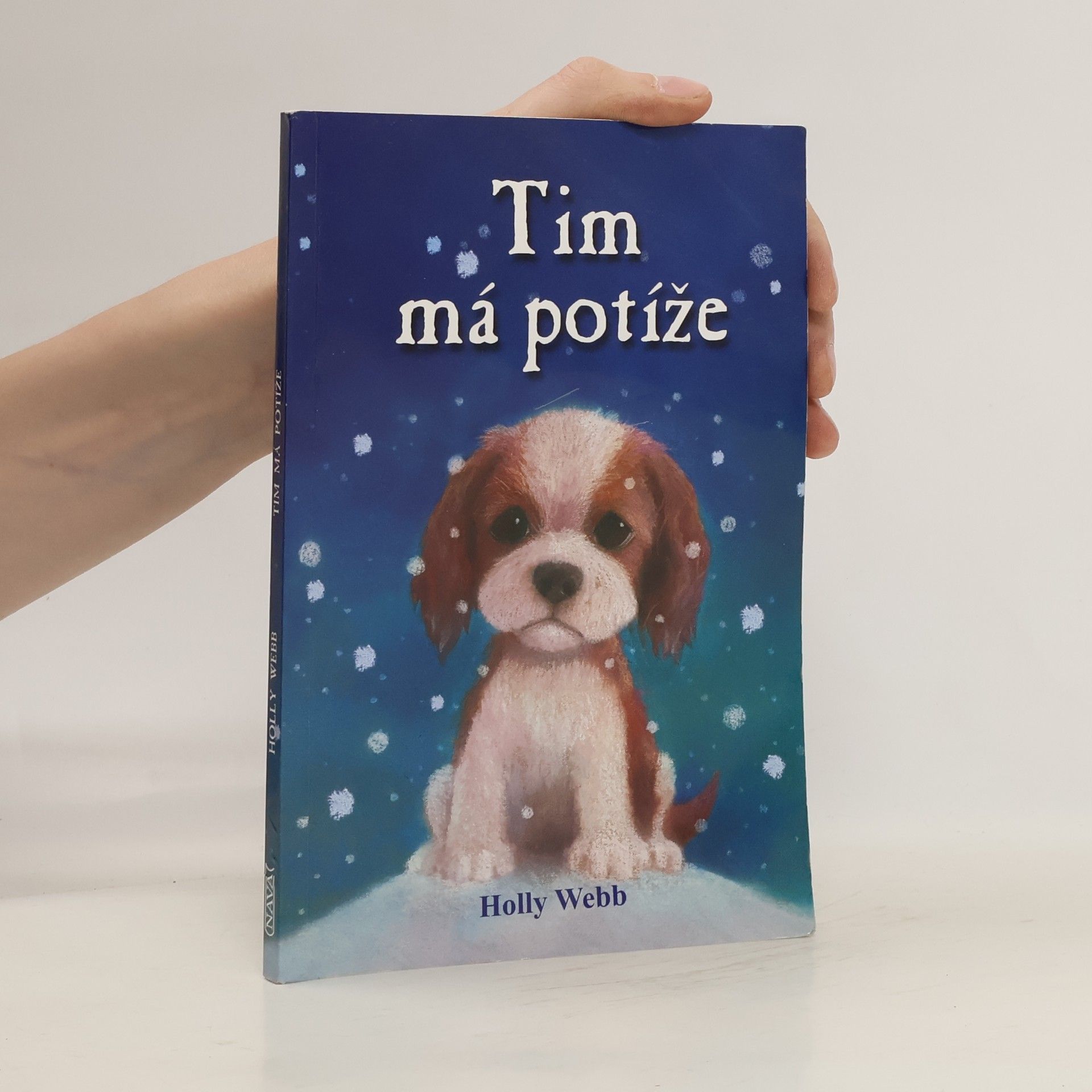 Holly Webb Tim má potíže