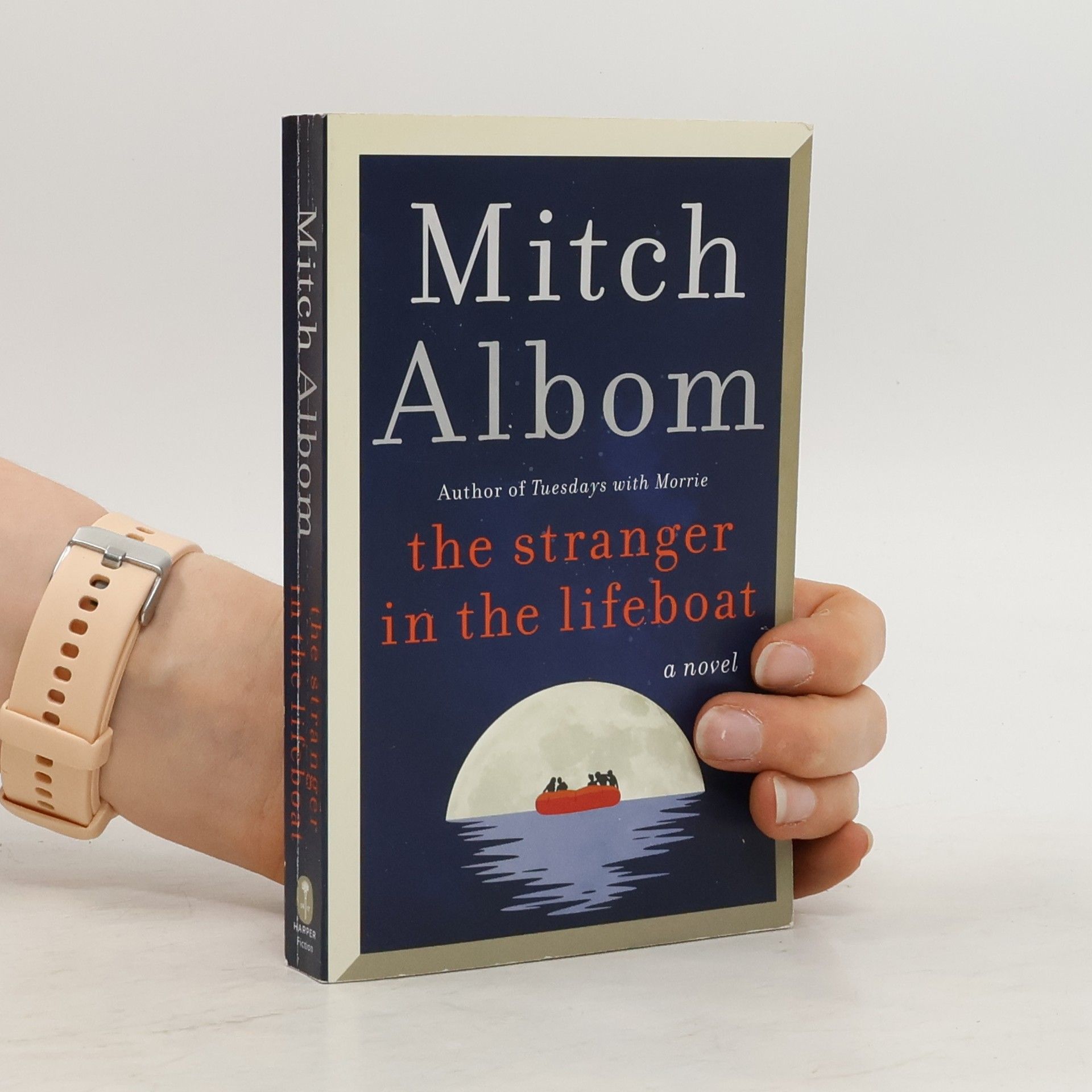 Mitch Albom The Stranger in the Lifeboat