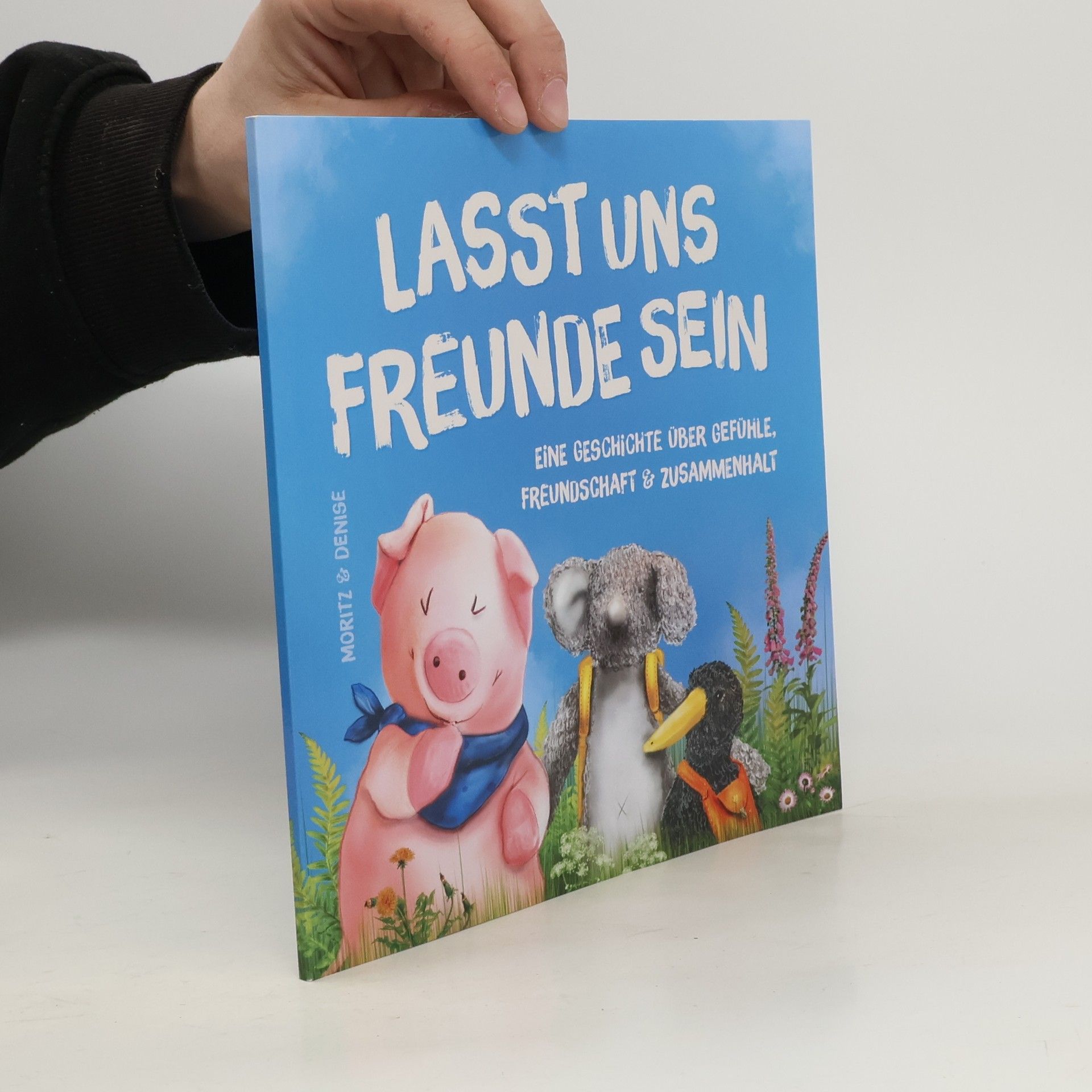 Denise Gahn Lasst uns Freunde sein. Bilderbuch zum Vorlesen und Mitlesen über Gefühle, Freundschaft und Zusammenhalt