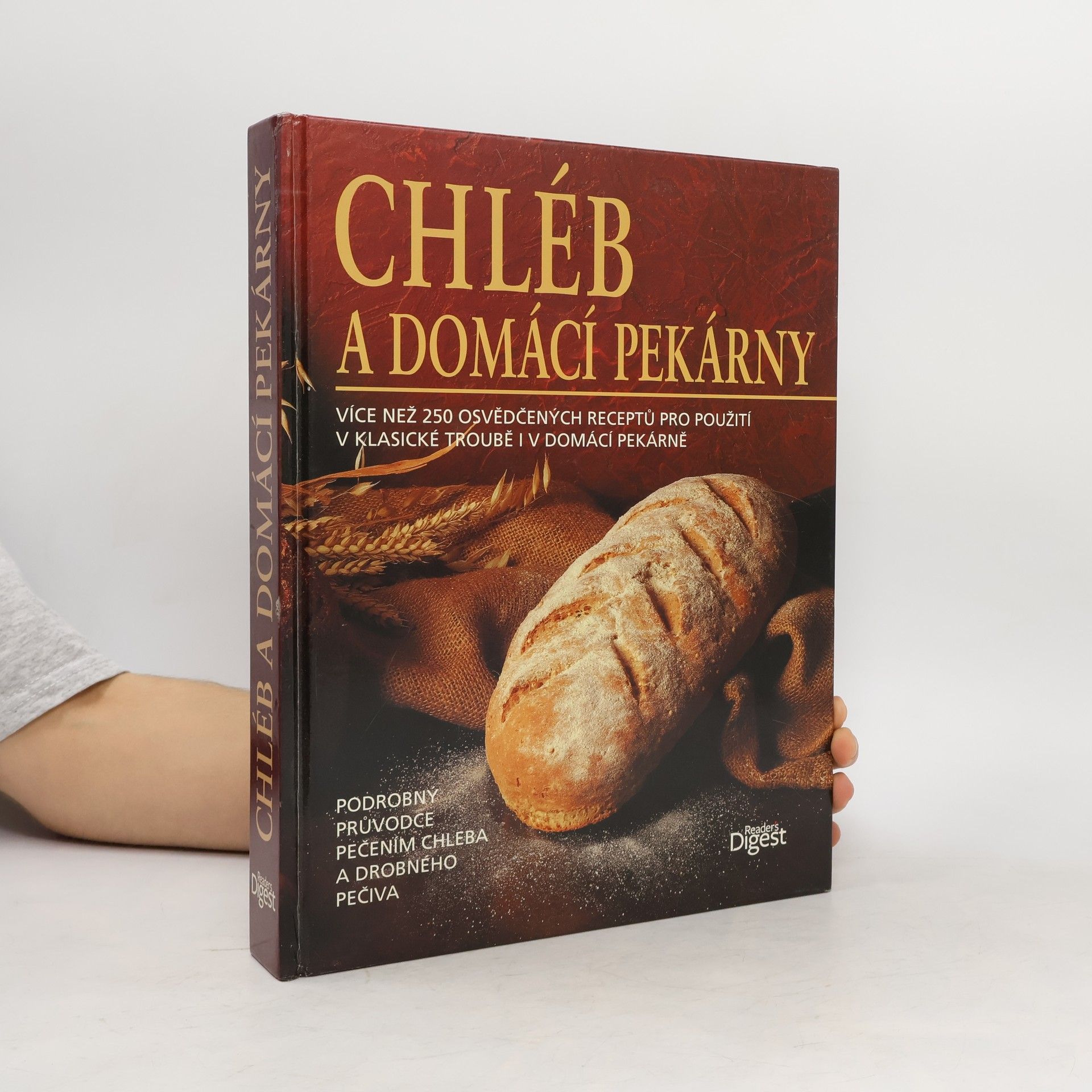 Autores varios Chléb a domácí pekárny