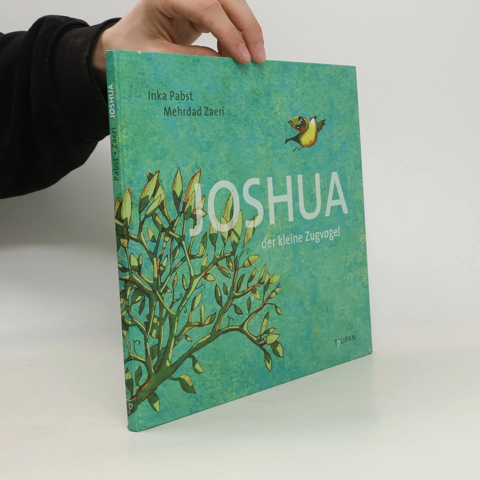 Joshua - Der kleine Zugvogel | Buch | Hardcover | Inka Pabst