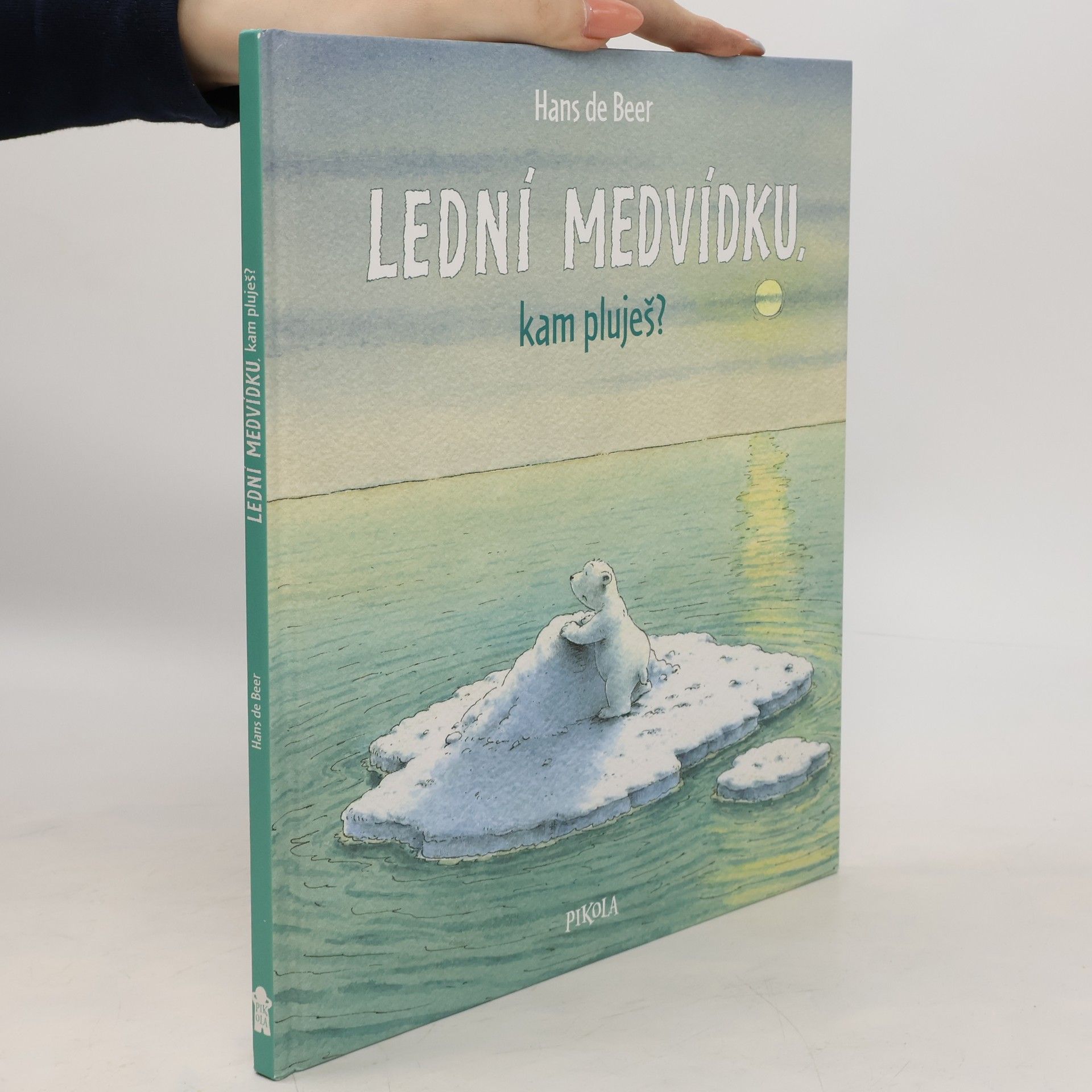 Hans De Beer Lední medvídku, kam pluješ?