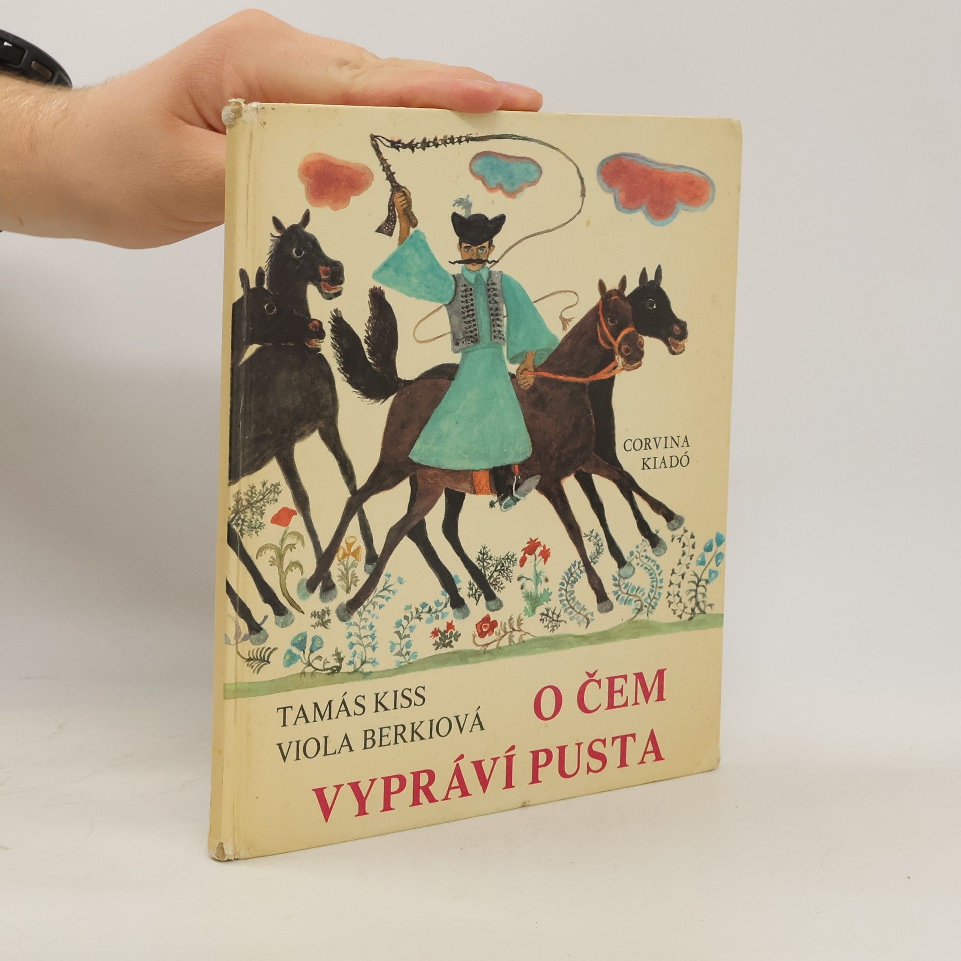 Tamás Kiss O čem vypráví pusta