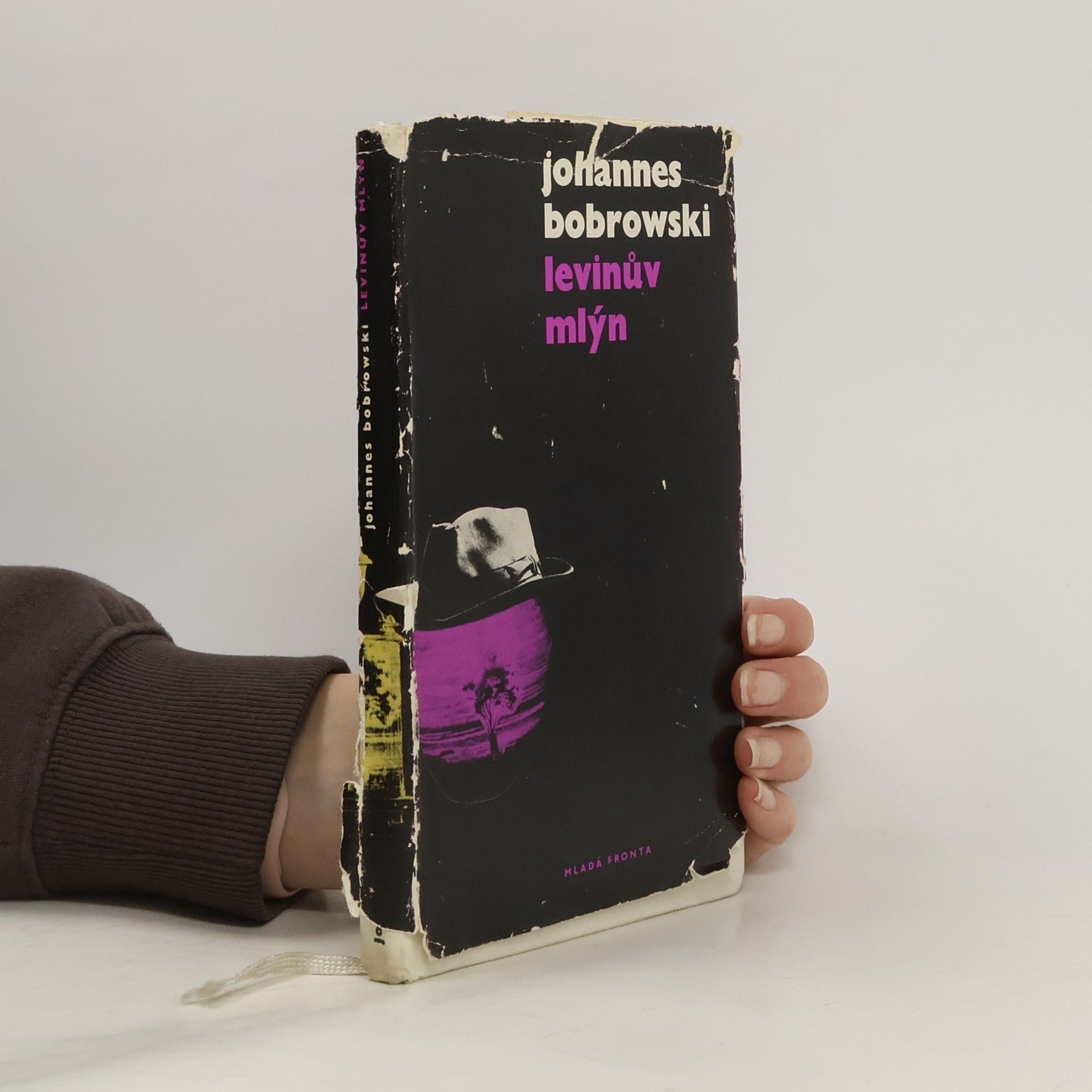 Johannes Bobrowski Levinův mlýn