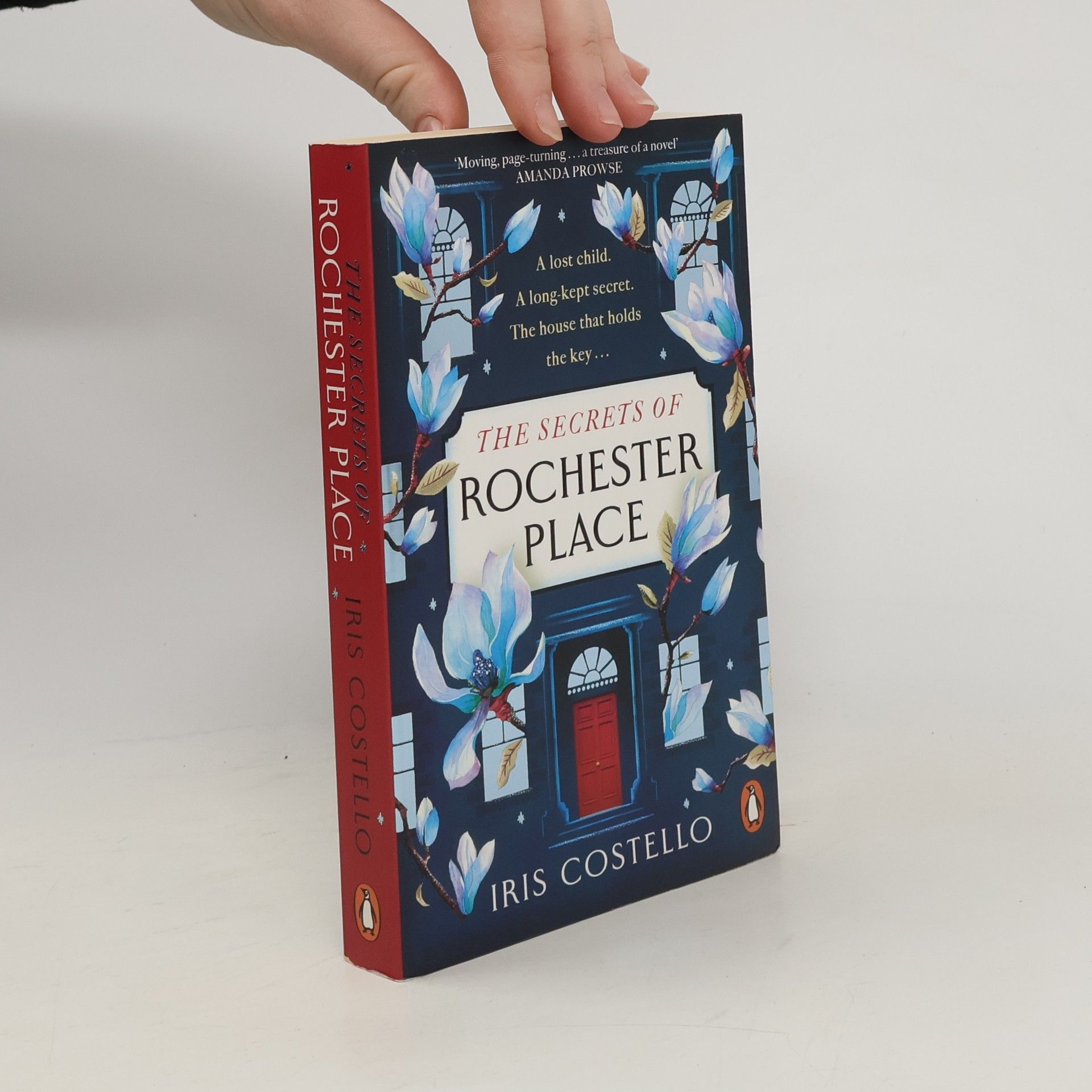 Iris Costello The Secrets of Rochester Place