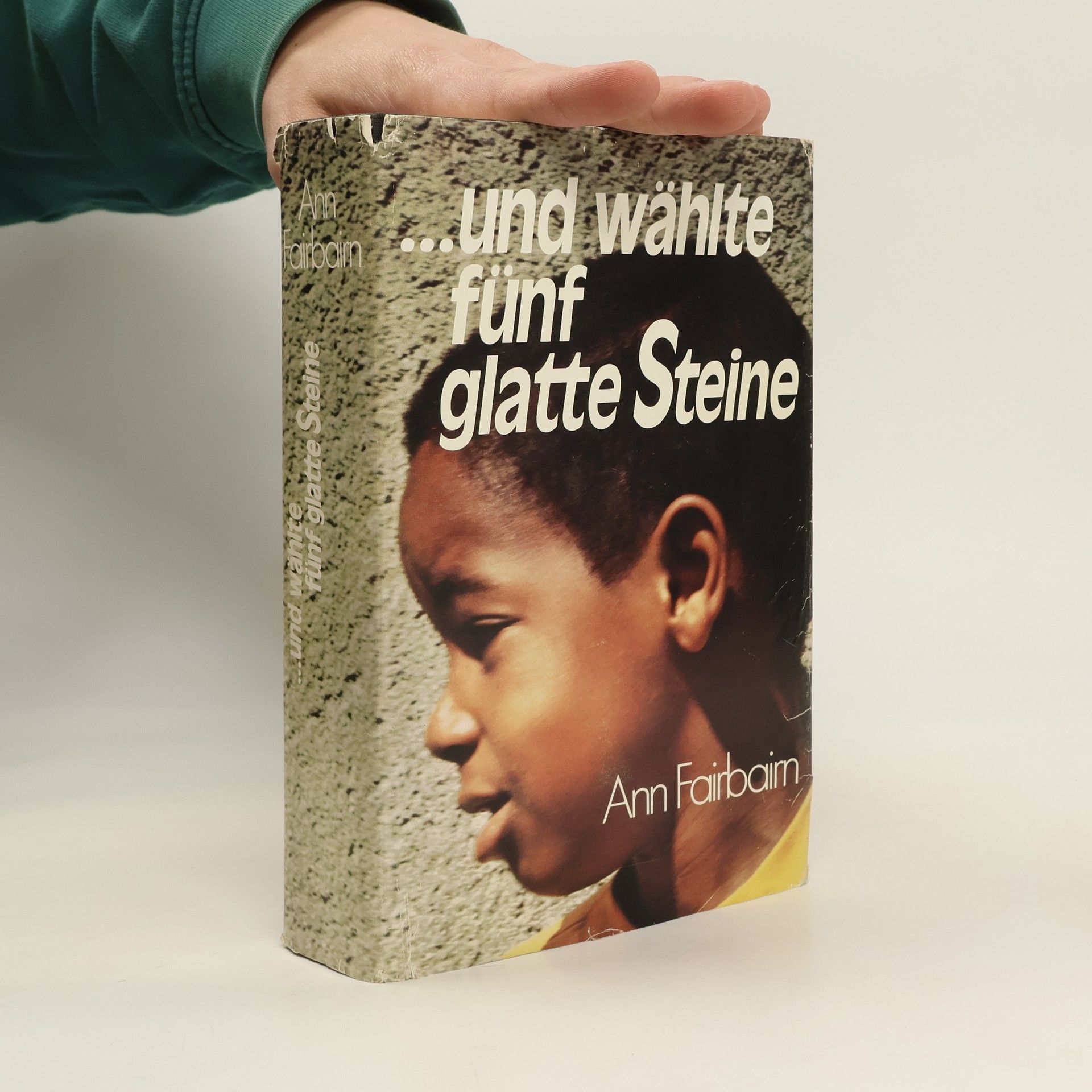 Ann Fairbairn Und wählte fünf glatte Steine