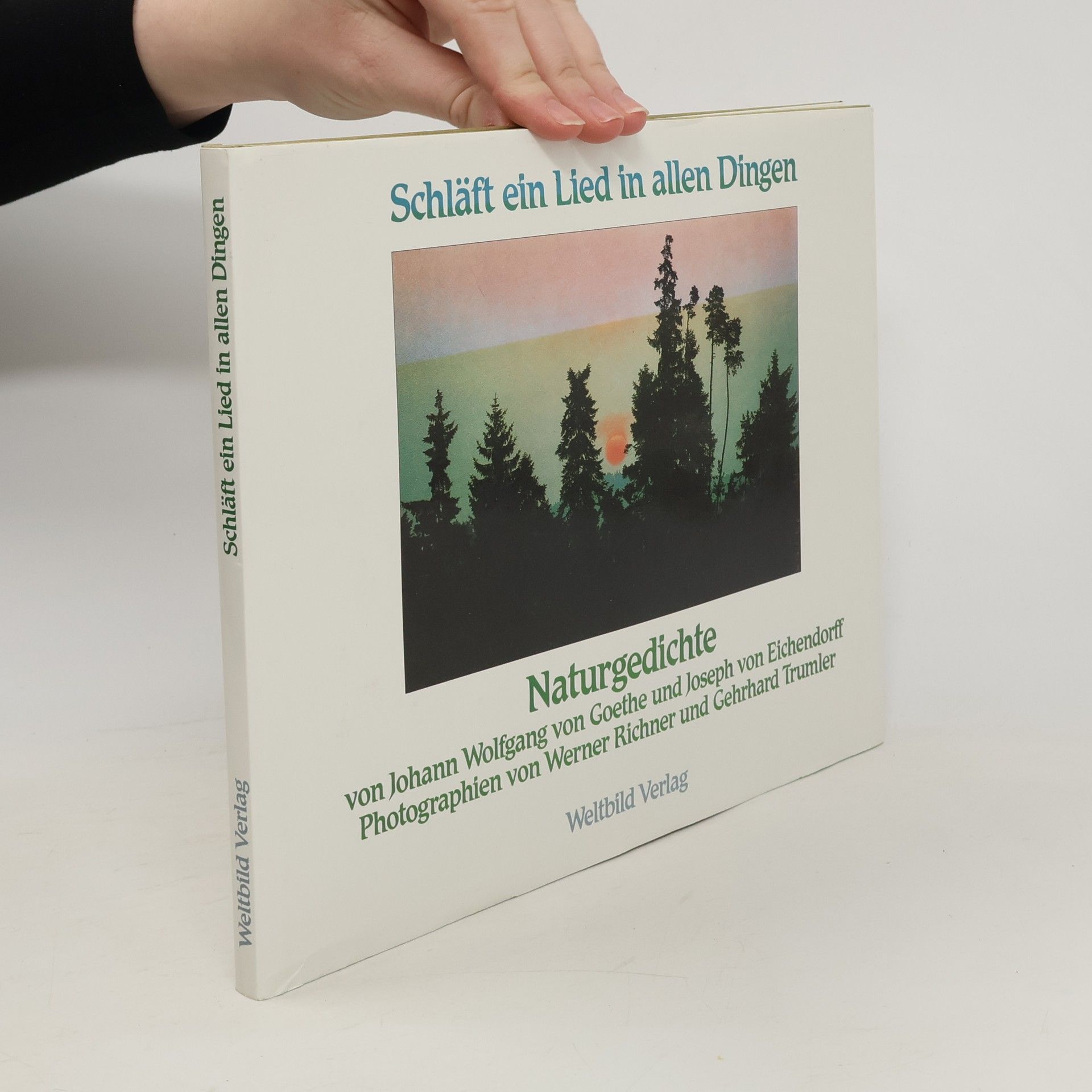 Gerhard Trumler Schläft ein Lied in allen Dingen: Naturgedichte