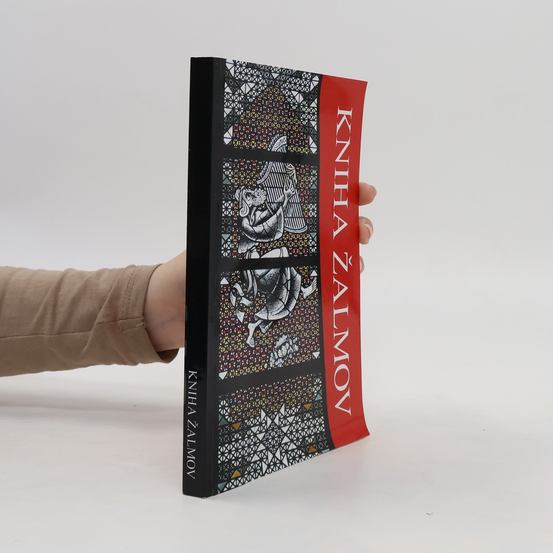 Collectif d'auteurs Kniha žalmov