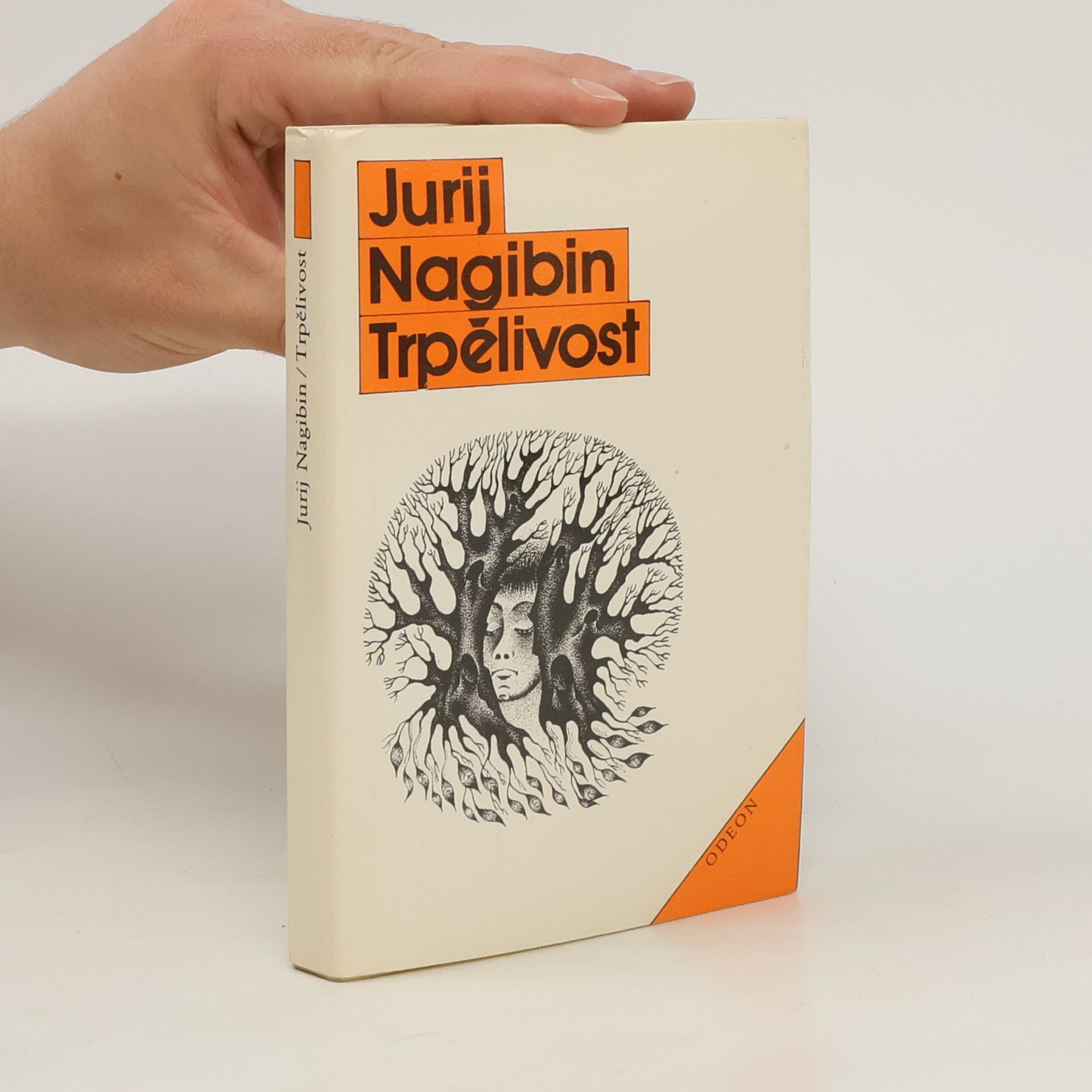 Jurij Markovič Nagibin Trpělivost