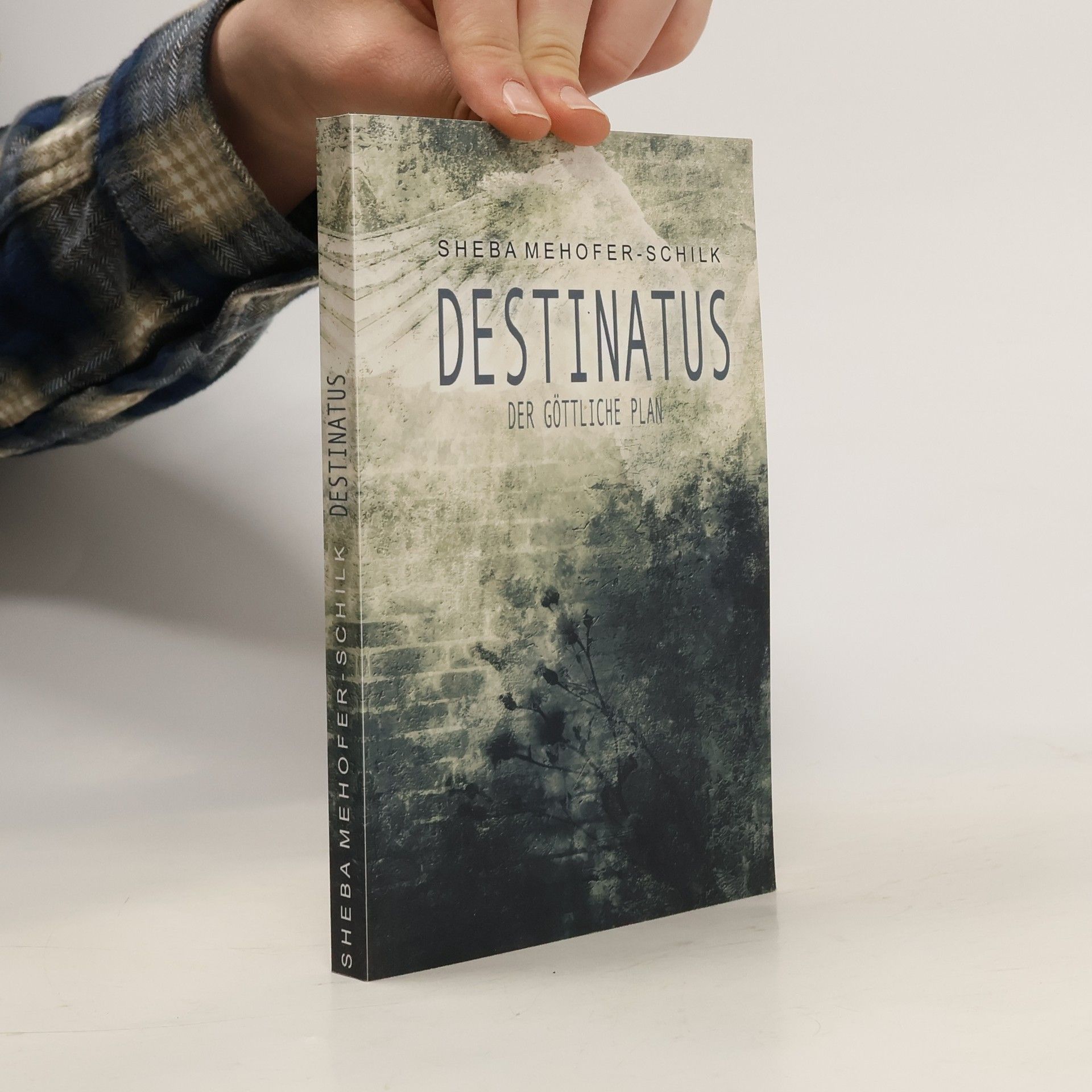 Sheba Mehofer-Schilk  Destinatus. Der göttliche Plan