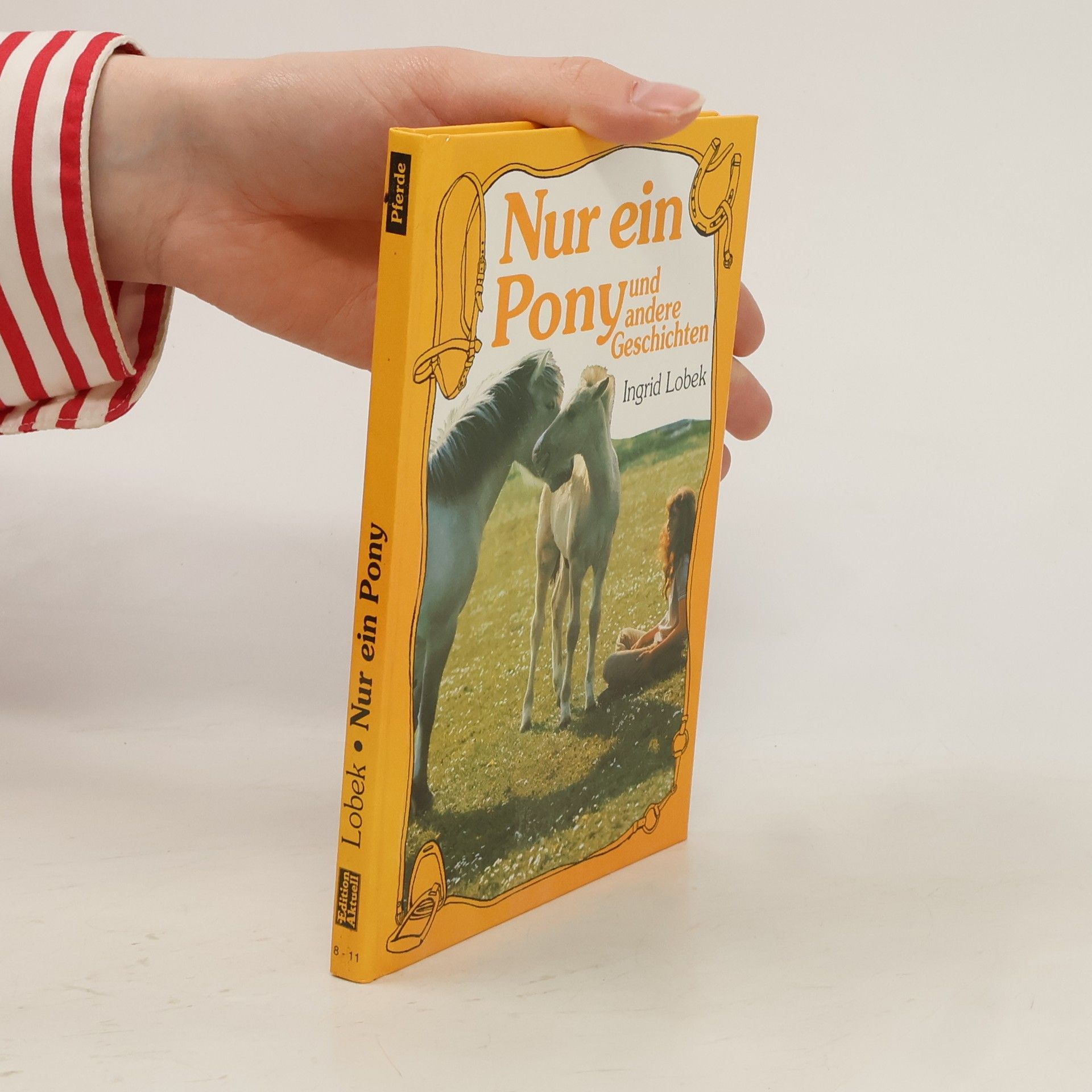 Ingrid Lobek Nur ein Pony und andere Geschichten