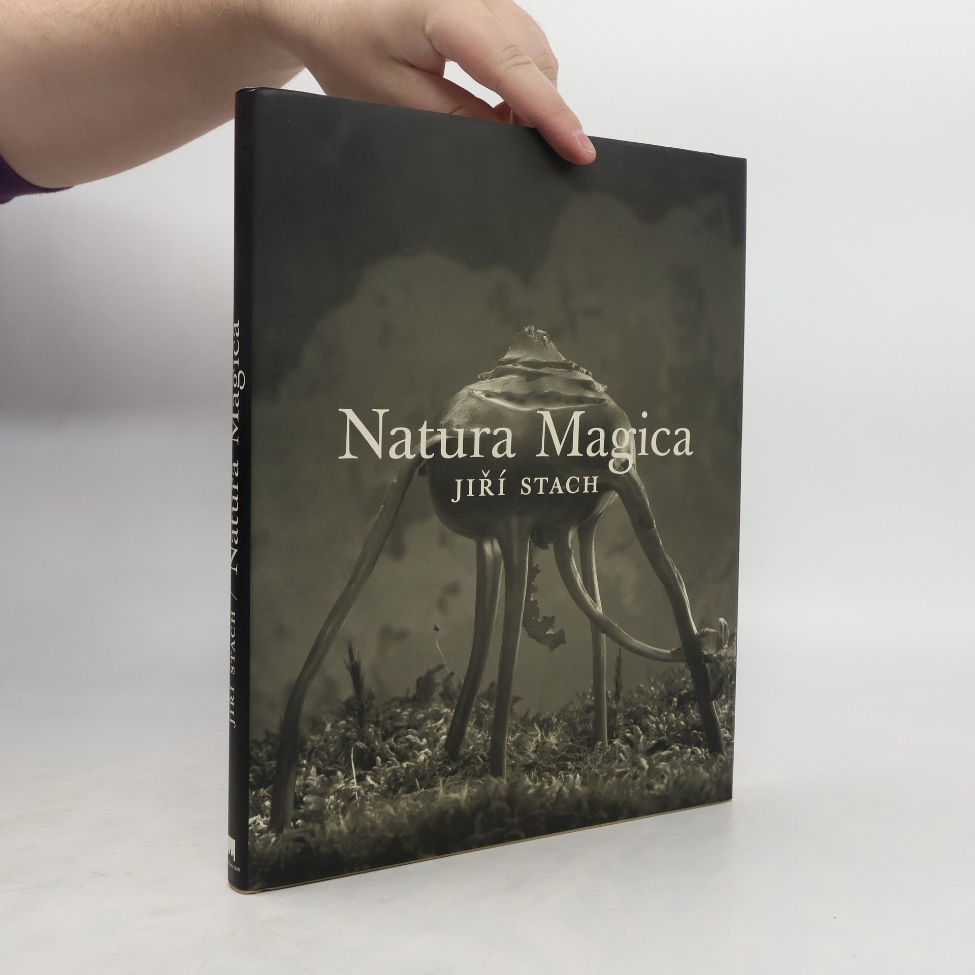 Jiří Stach Natura Magica