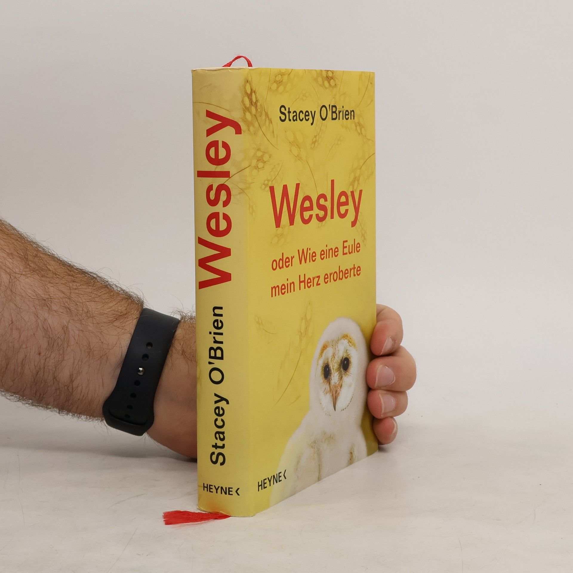 Stacey OBrien Wesley oder wie eine Eule mein Herz eroberte