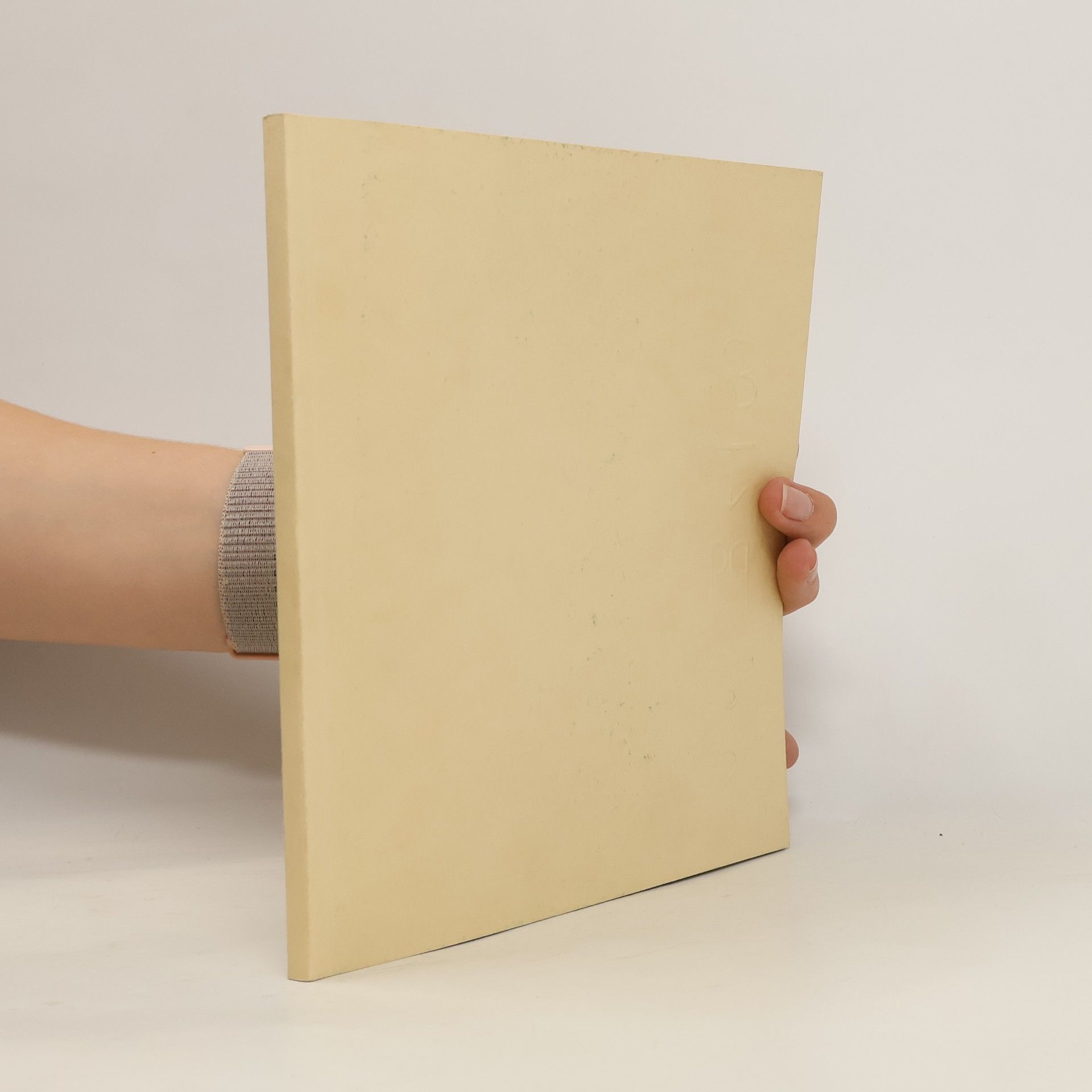 AA.VV. Cesta kamene Mariánského sloupu