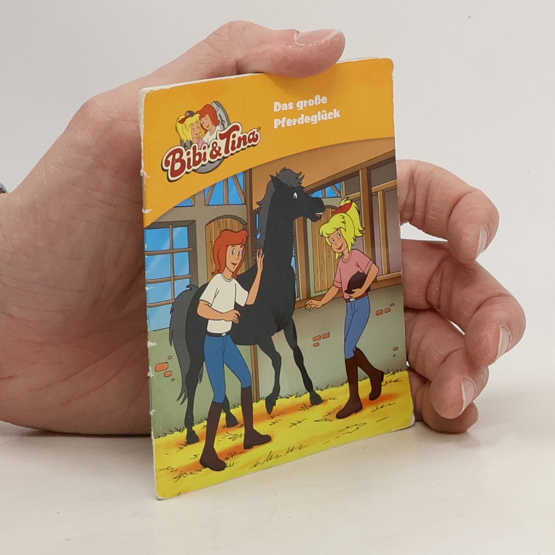 Collectif d'auteurs Bibi & Tina. Das große Pferdeglück