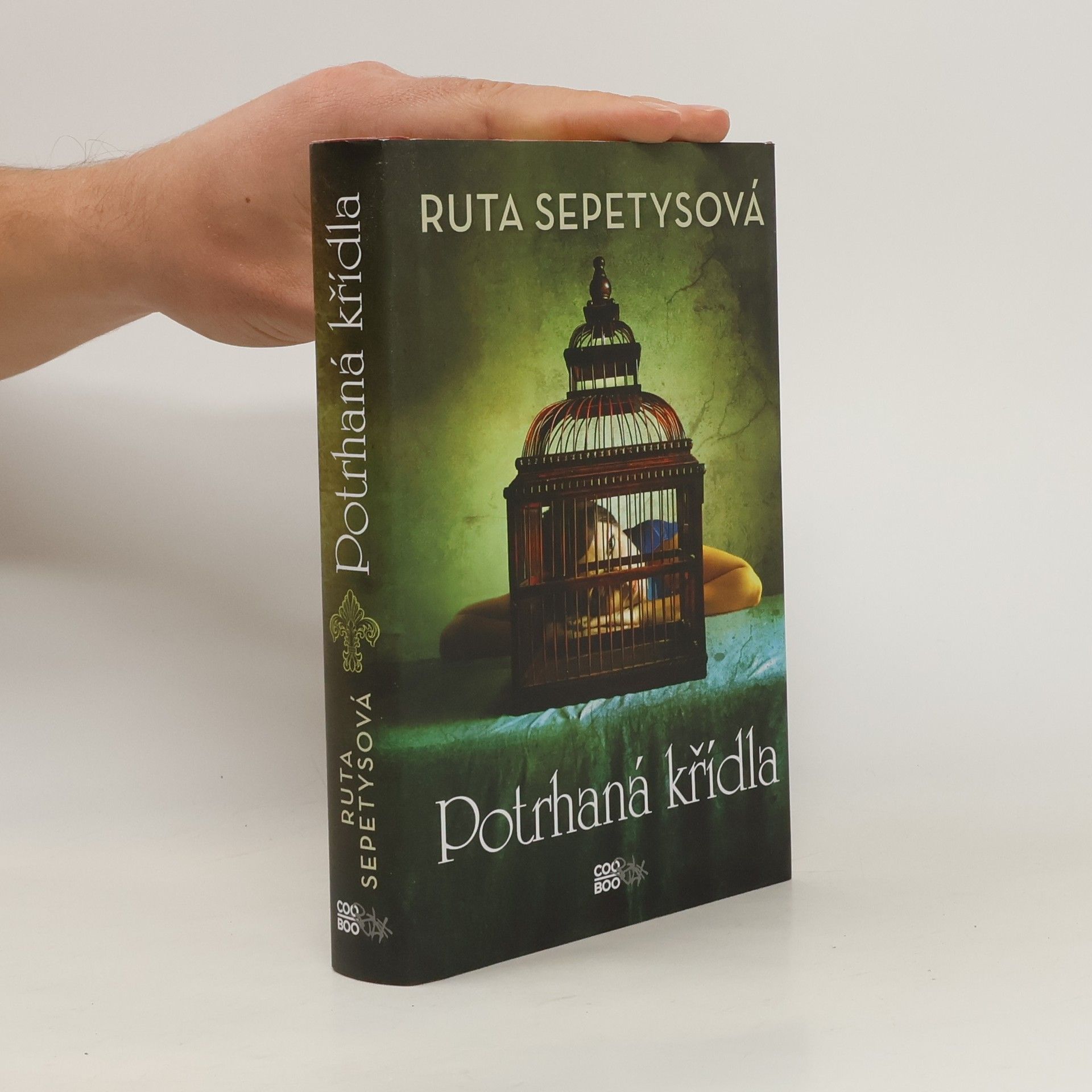 Ruta Sepetys Potrhaná křídla