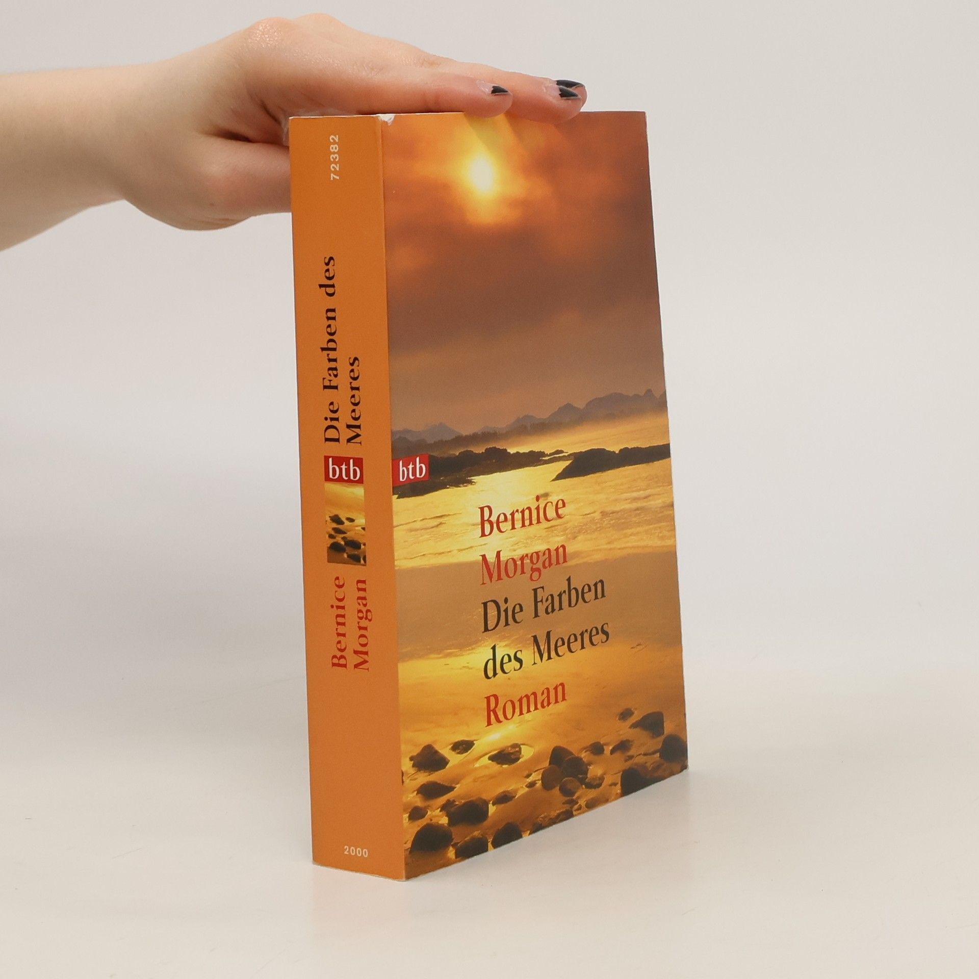 Bernice Morgan Die Farben des Meeres