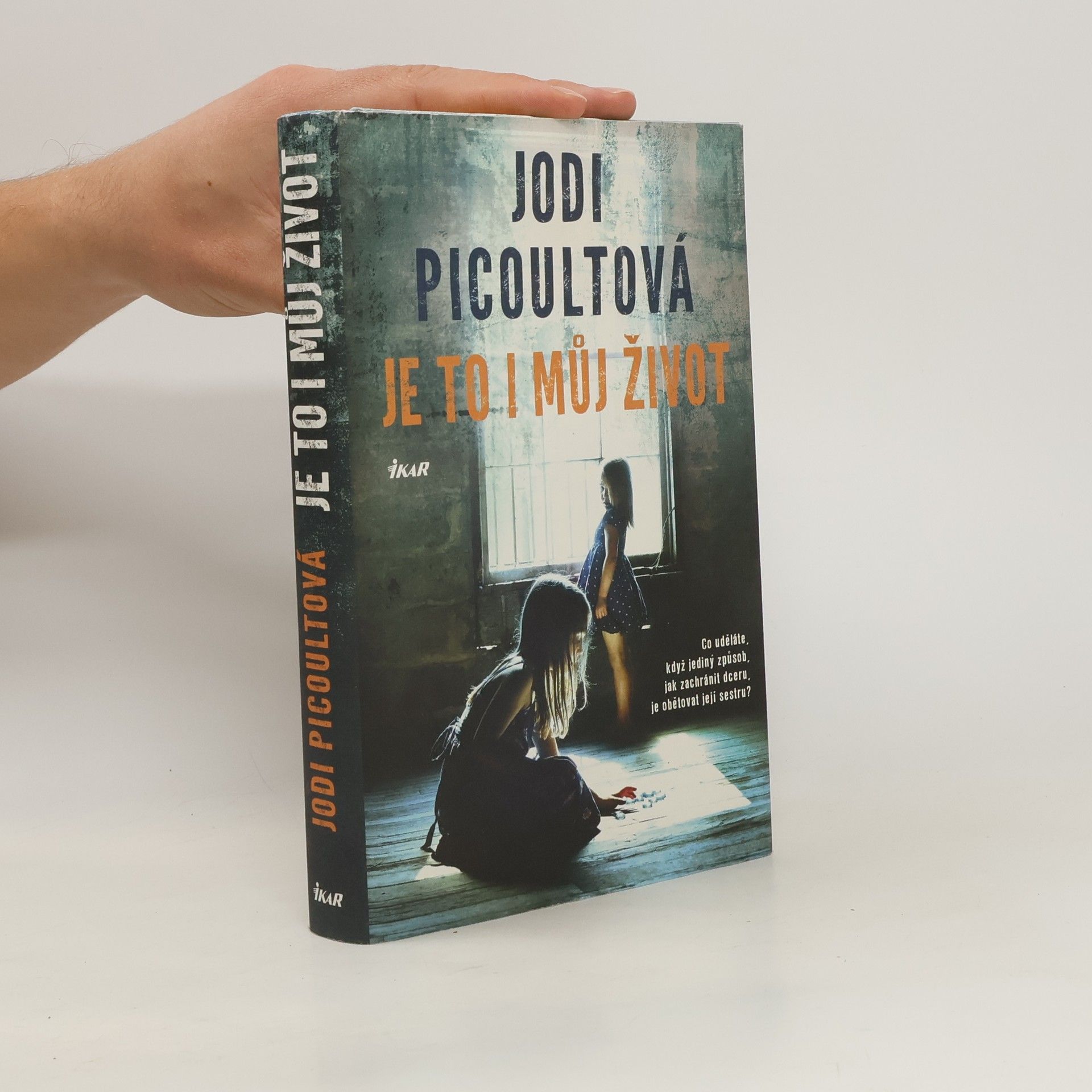 Jodi Picoult Je to i můj život