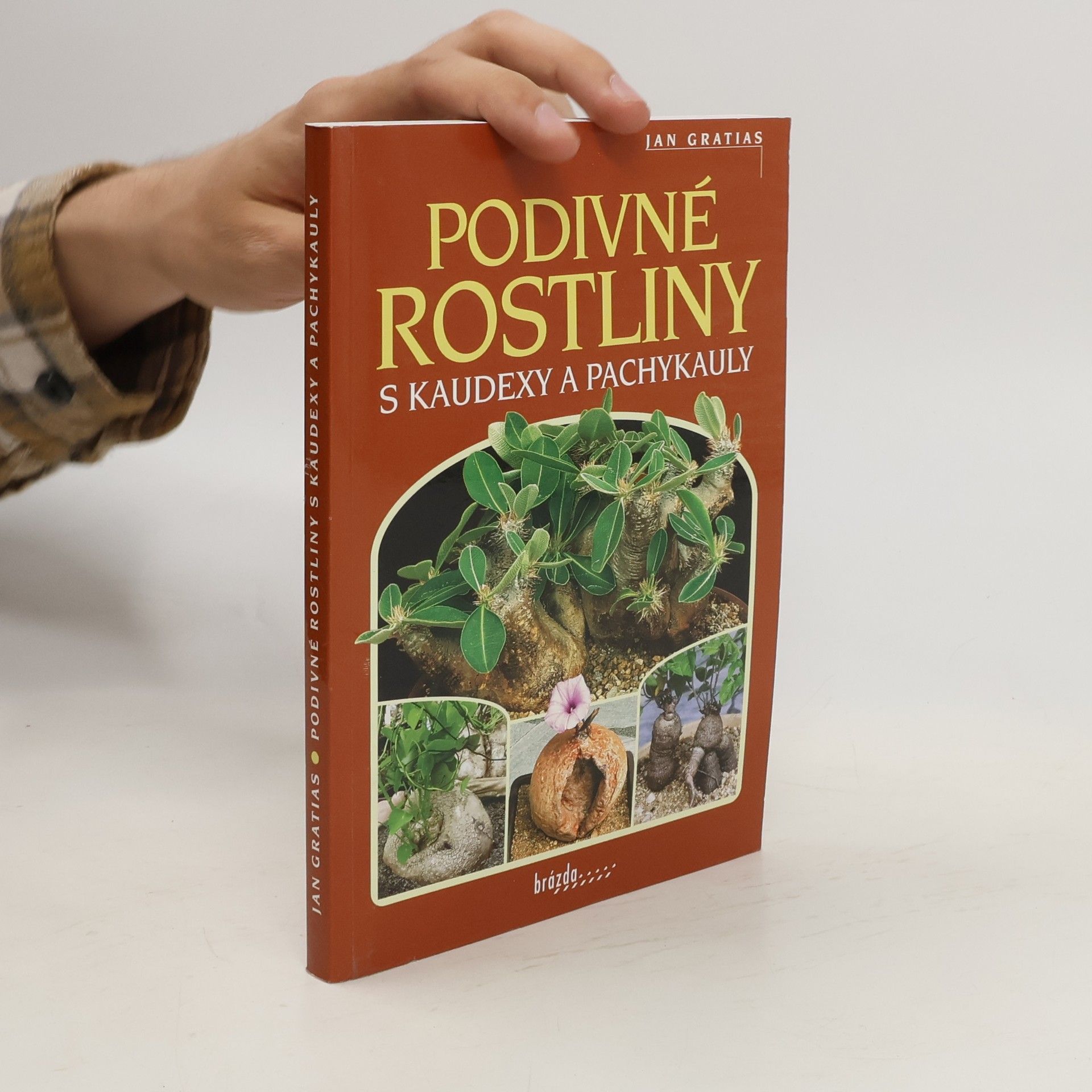 Jan Gratias Podivné rostliny s kaudexy a pachykauly