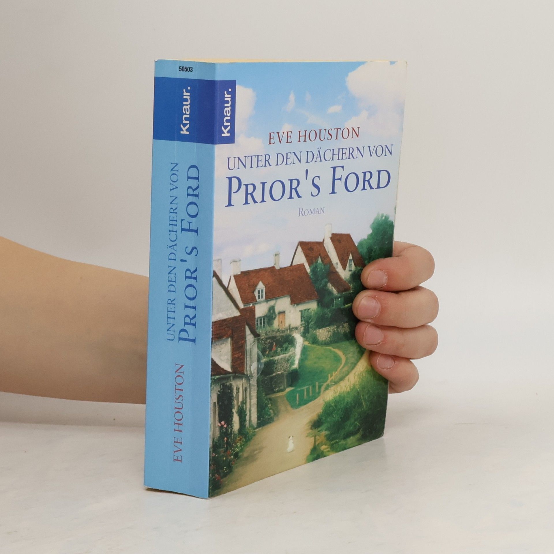 Eve Houston Unter den Dächern von Prior's Ford. Roman