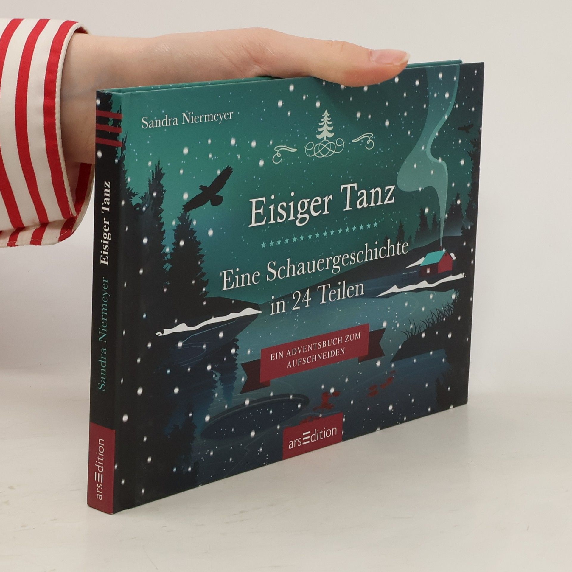 Sandra Niermeyer Eisiger Tanz. Eine Schauergeschichte in 24 Teilen (Restauflage)