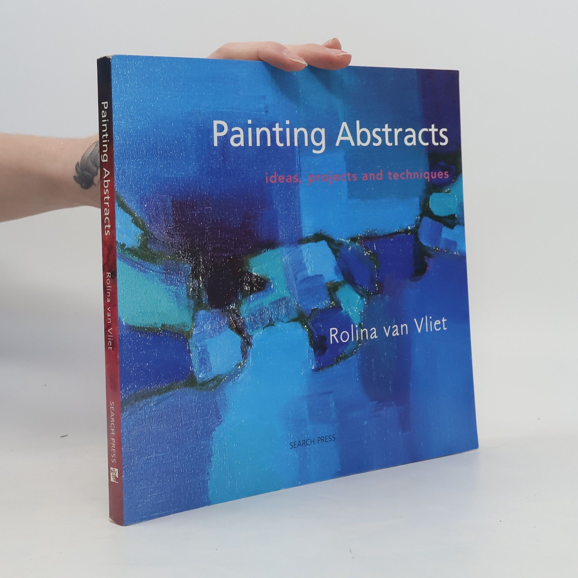 Pim van Vliet Painting Abstracts