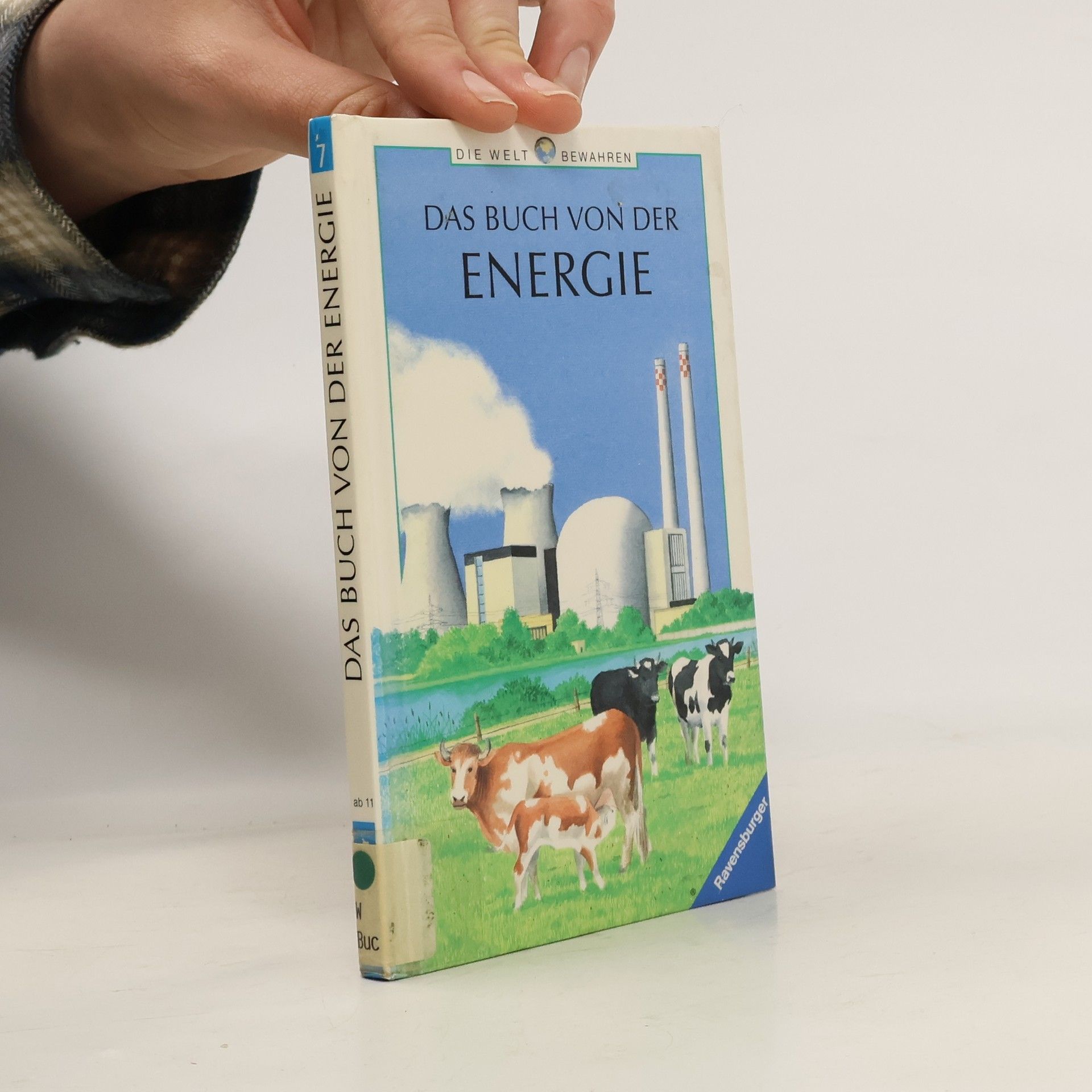 Christine Wolfrum Das Buch von der Energie