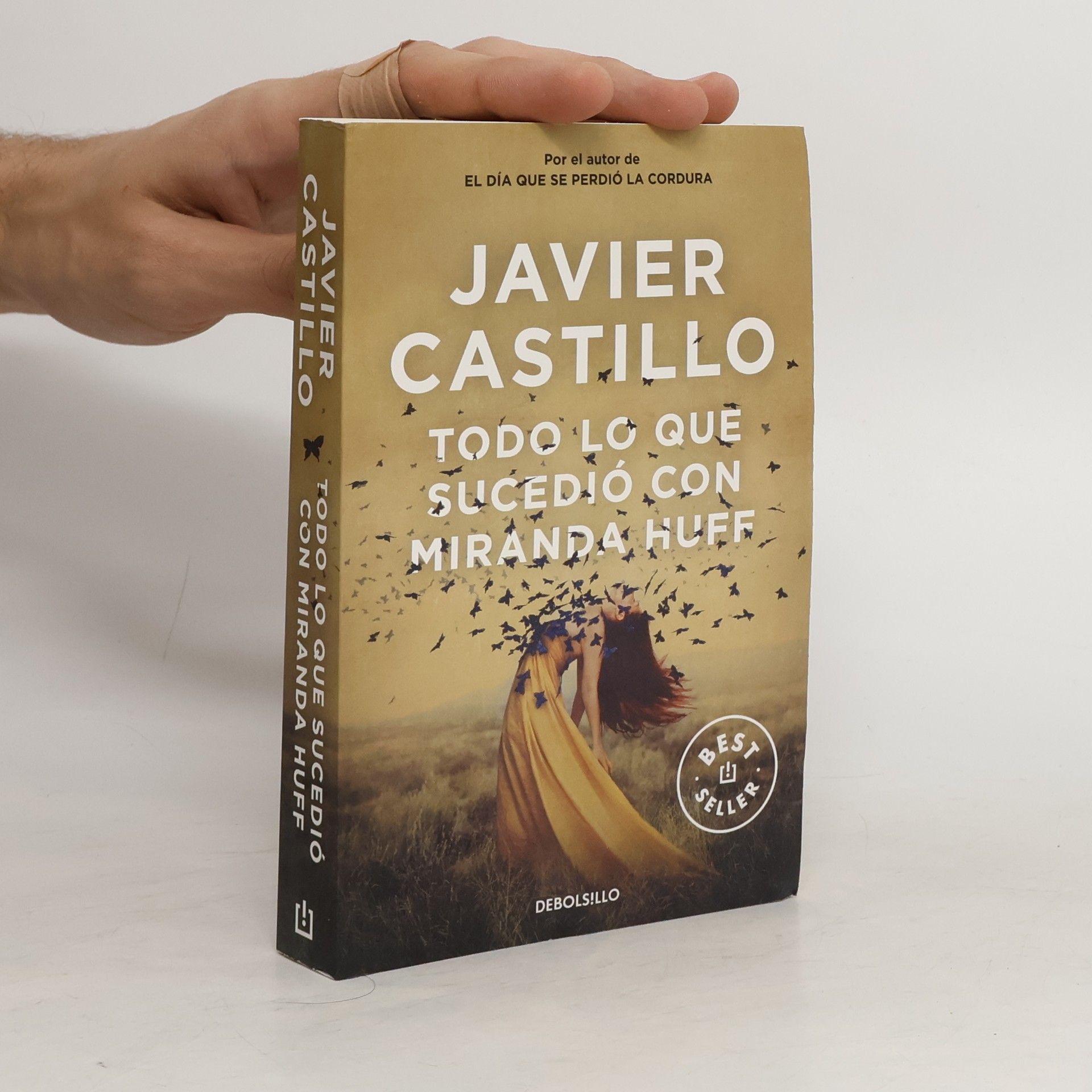 Javier Castillo Todo lo que sucedio con Miranda Huff