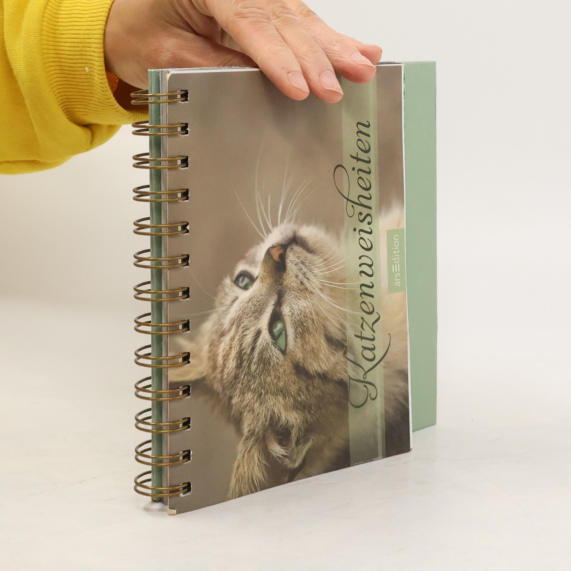 kolektiv Katzenweisheiten