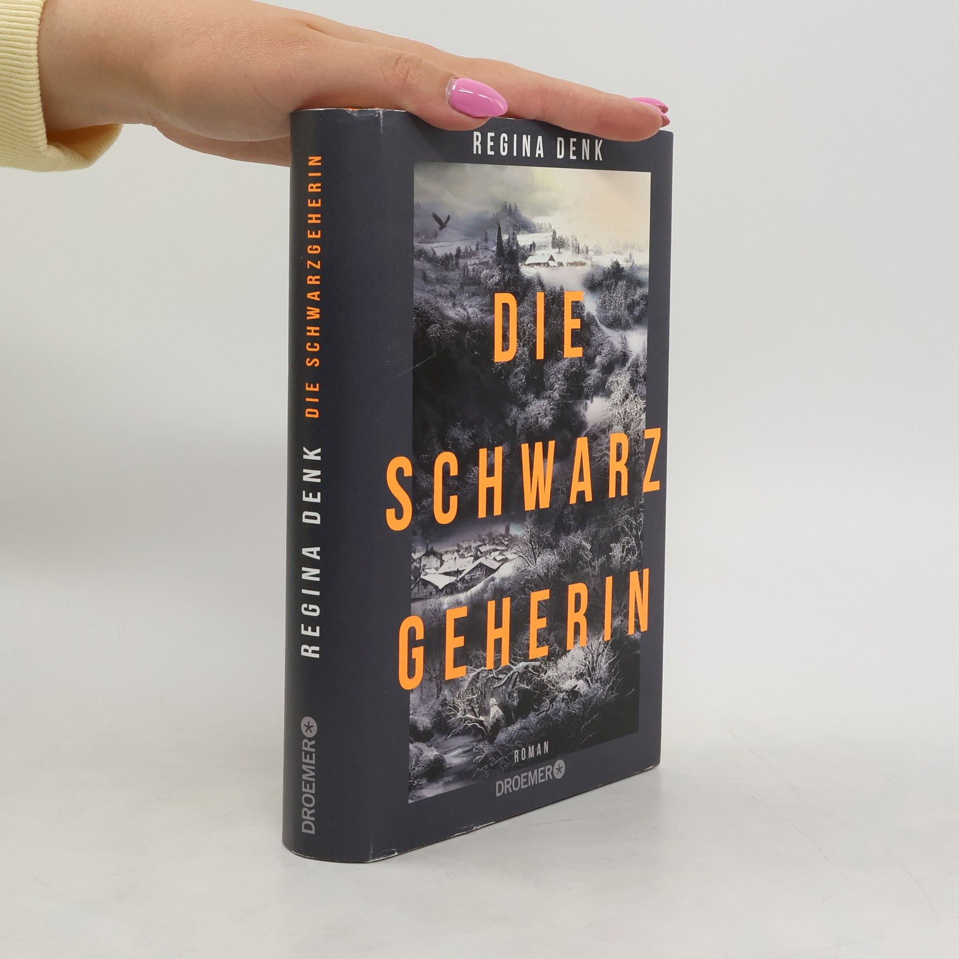 Regina Denk Die Schwarzgeherin