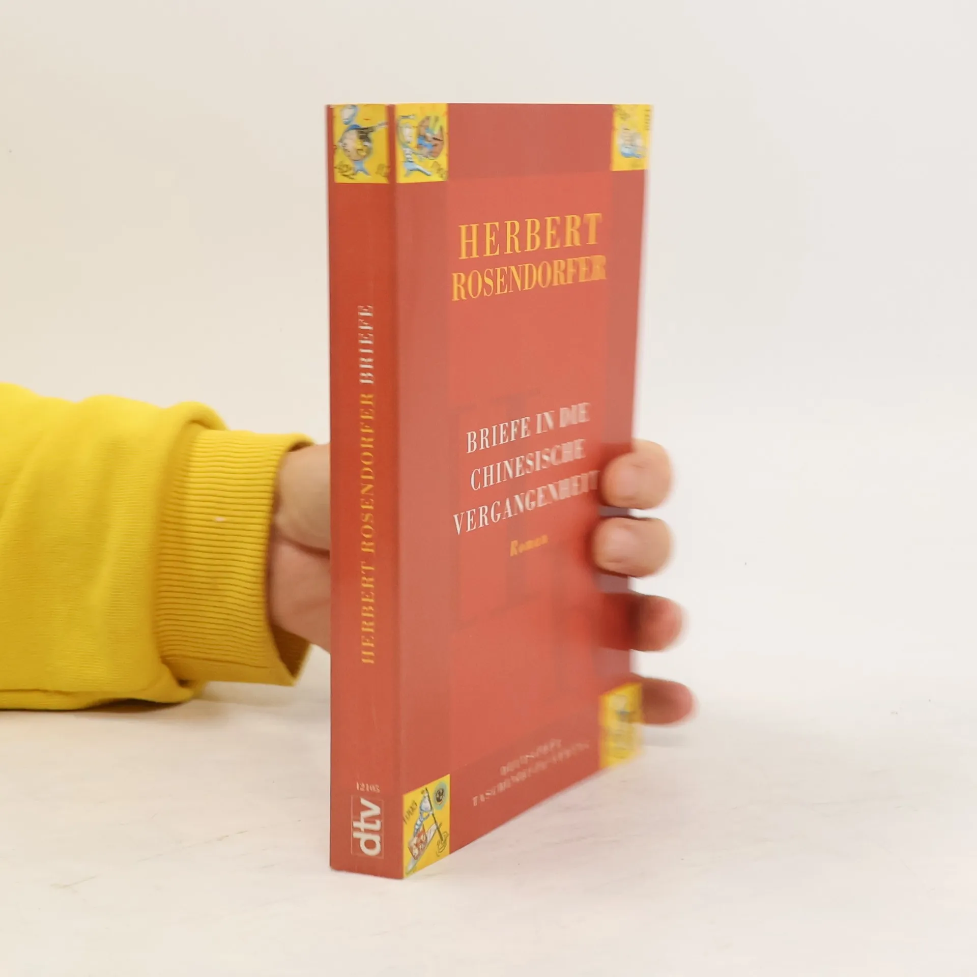 Briefe in die chinesische Vergangenheit | Buch | Herbert Rosendorfer
