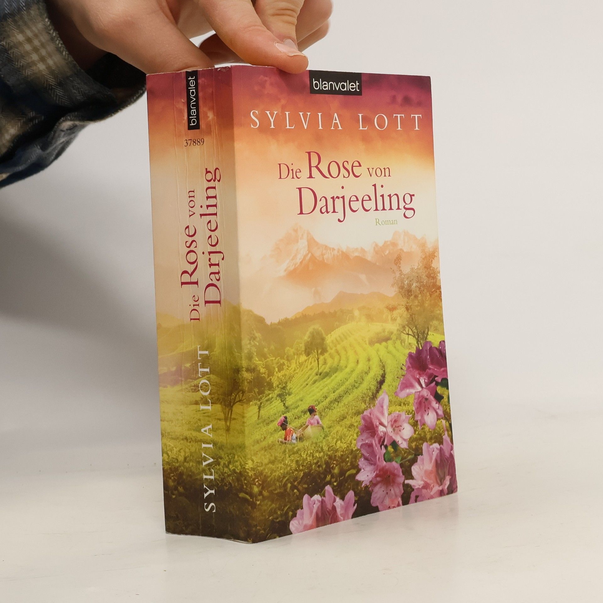Sylvia Lott Die Rose von Darjeeling