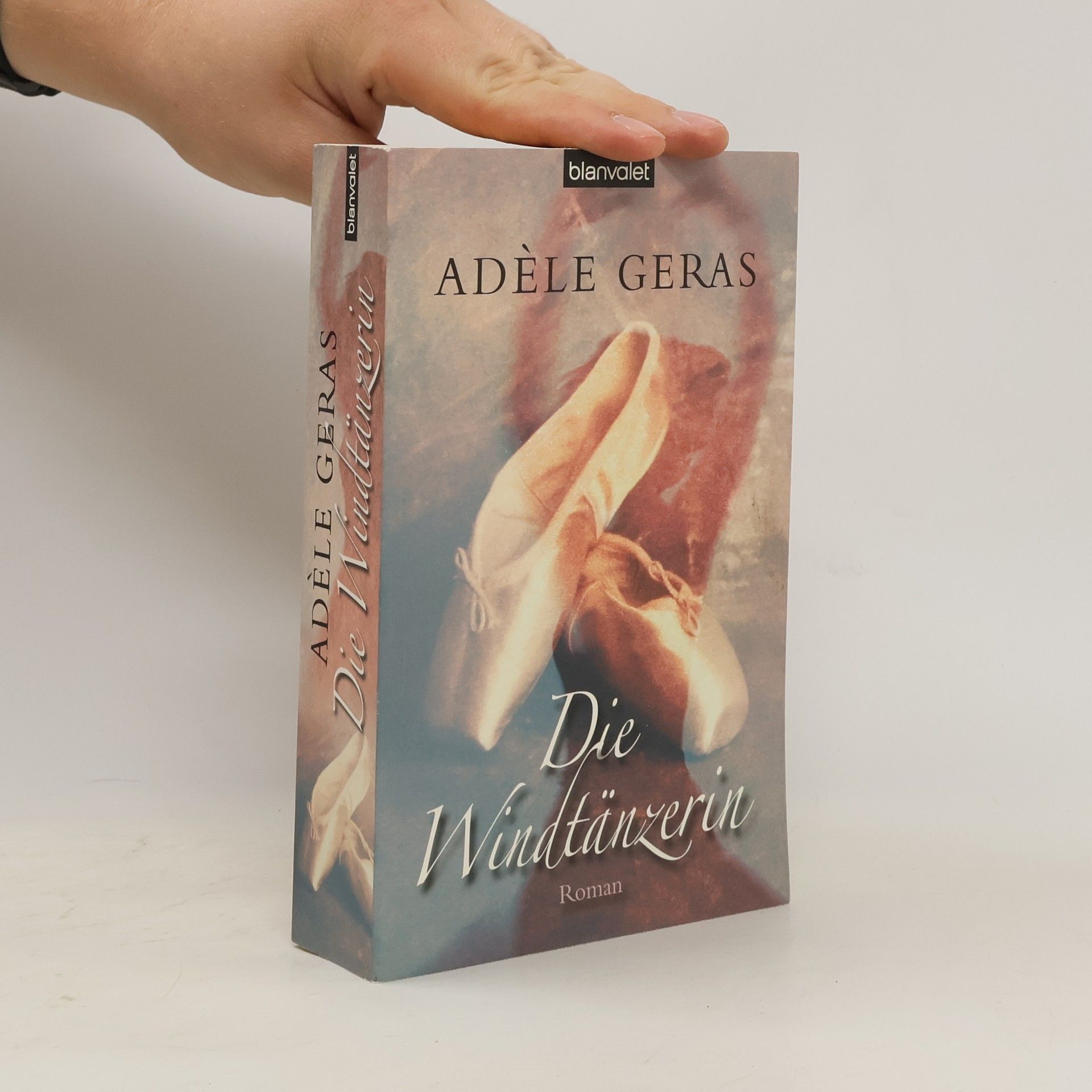 Adèle Geras Die Windtänzerin
