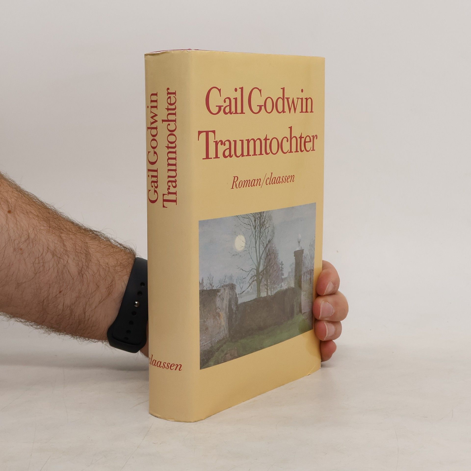 Gail Godwin Traumtochter
