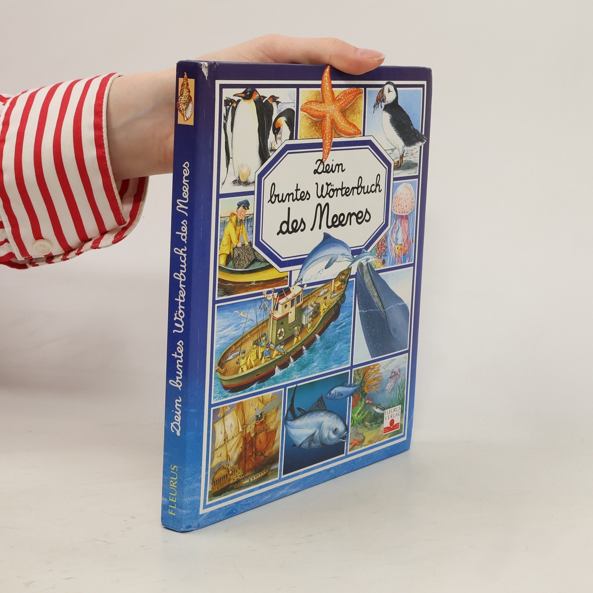 Marie-Renée Pimont Dein buntes Wörterbuch des Meeres
