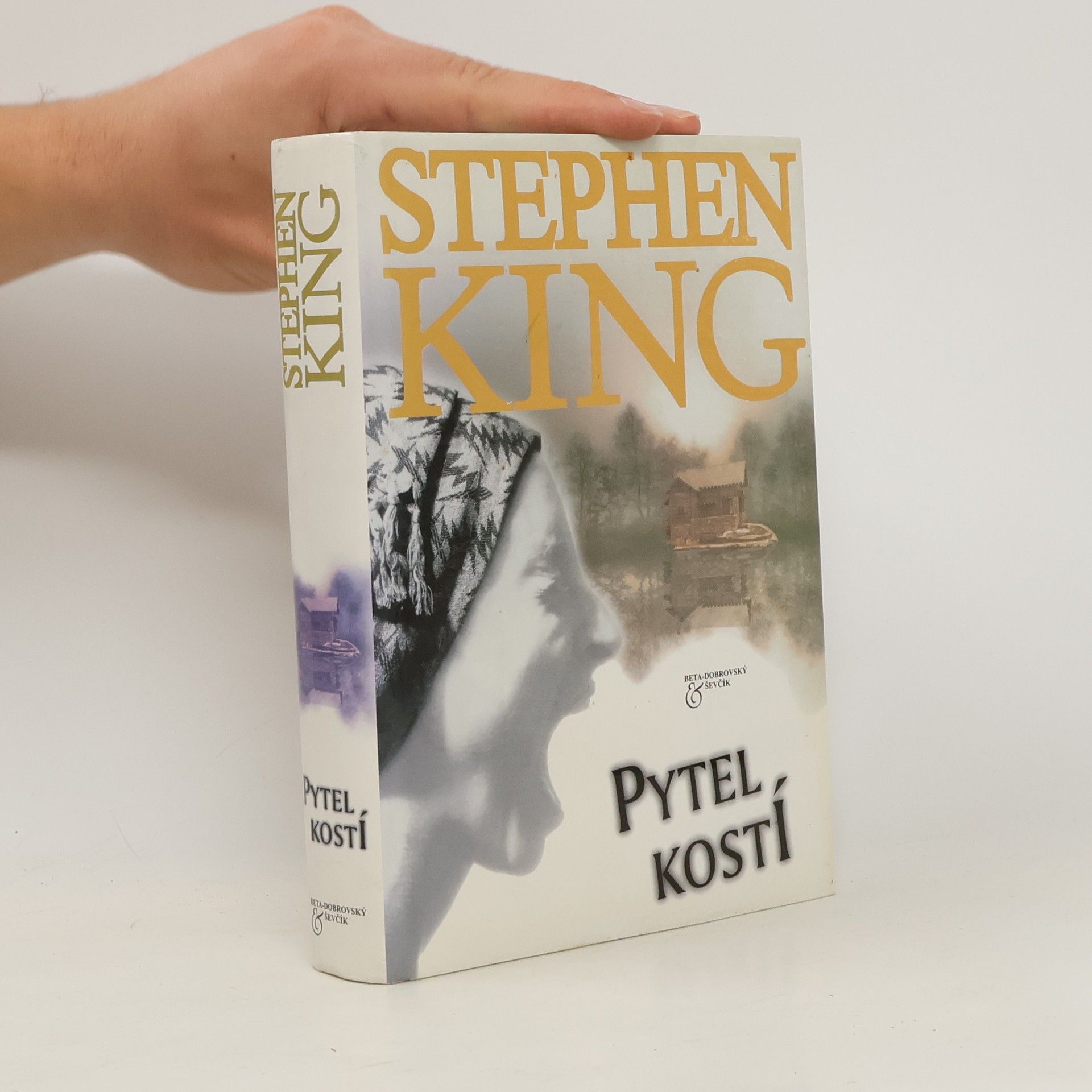 Stephen King Pytel kostí