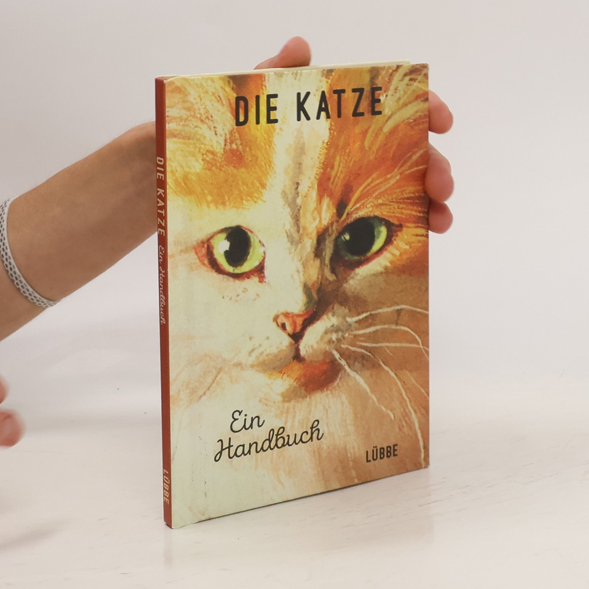 Jason Hazeley Die Katze