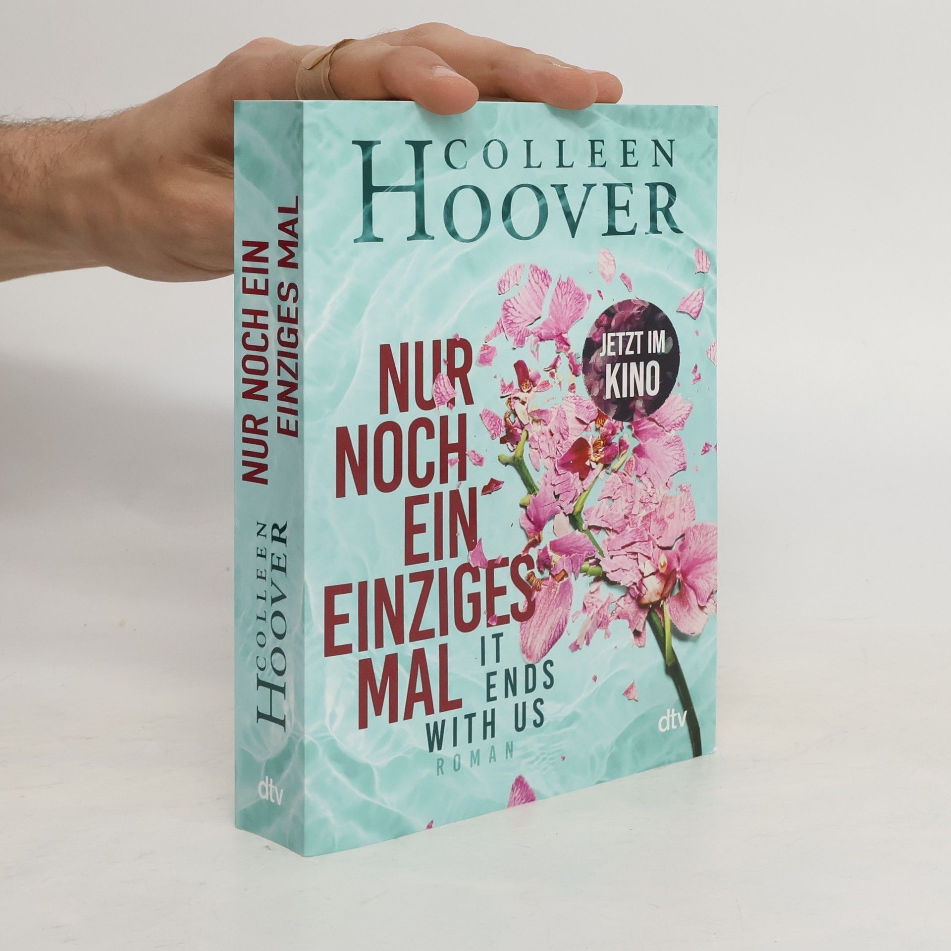 Colleen Hoover Nur noch ein einziges Mal
