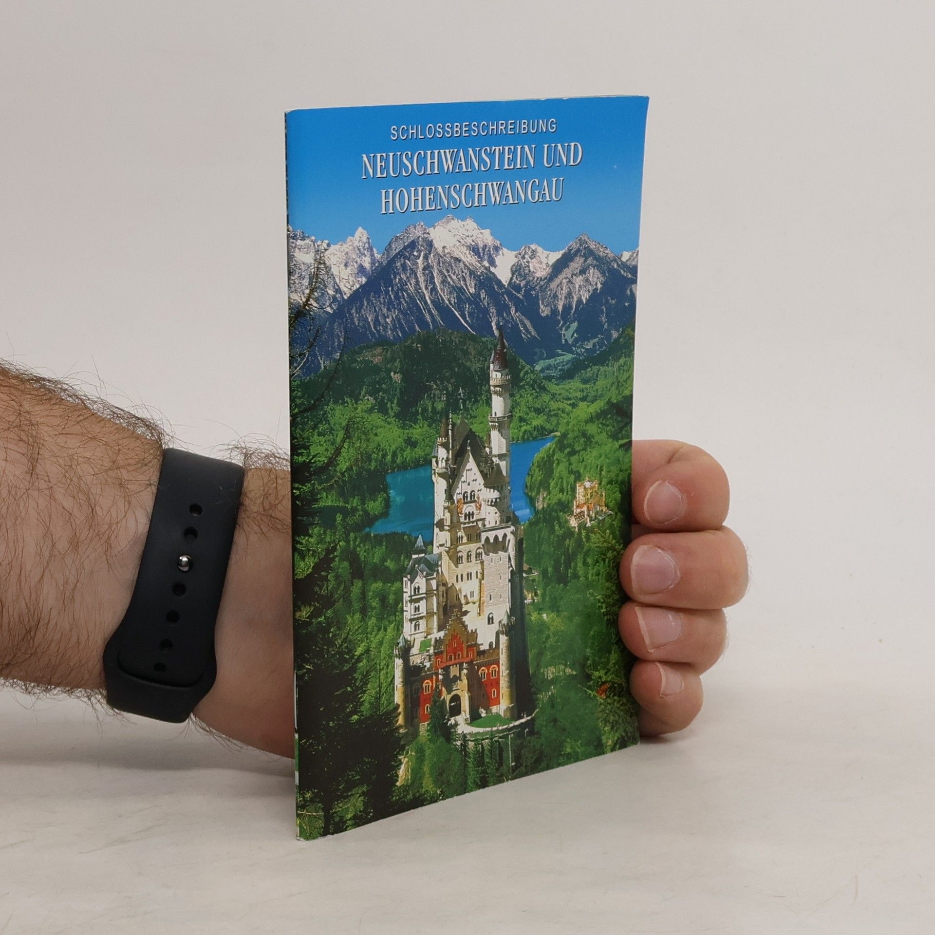 Schlossbeschreibung Neuschwanstein und Hohenschwangau