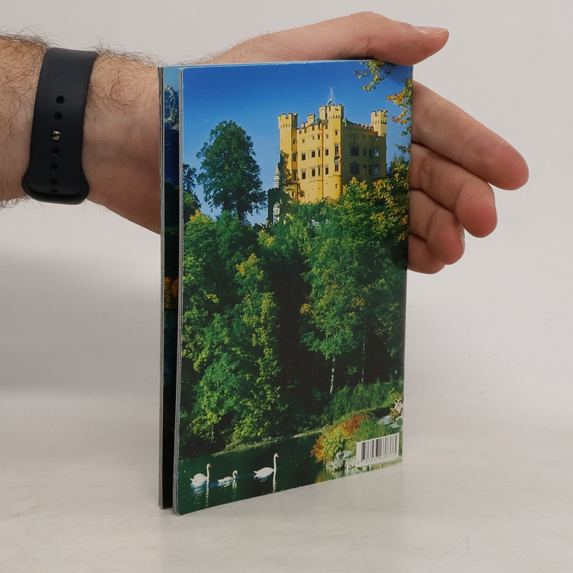 Schlossbeschreibung Neuschwanstein und Hohenschwangau